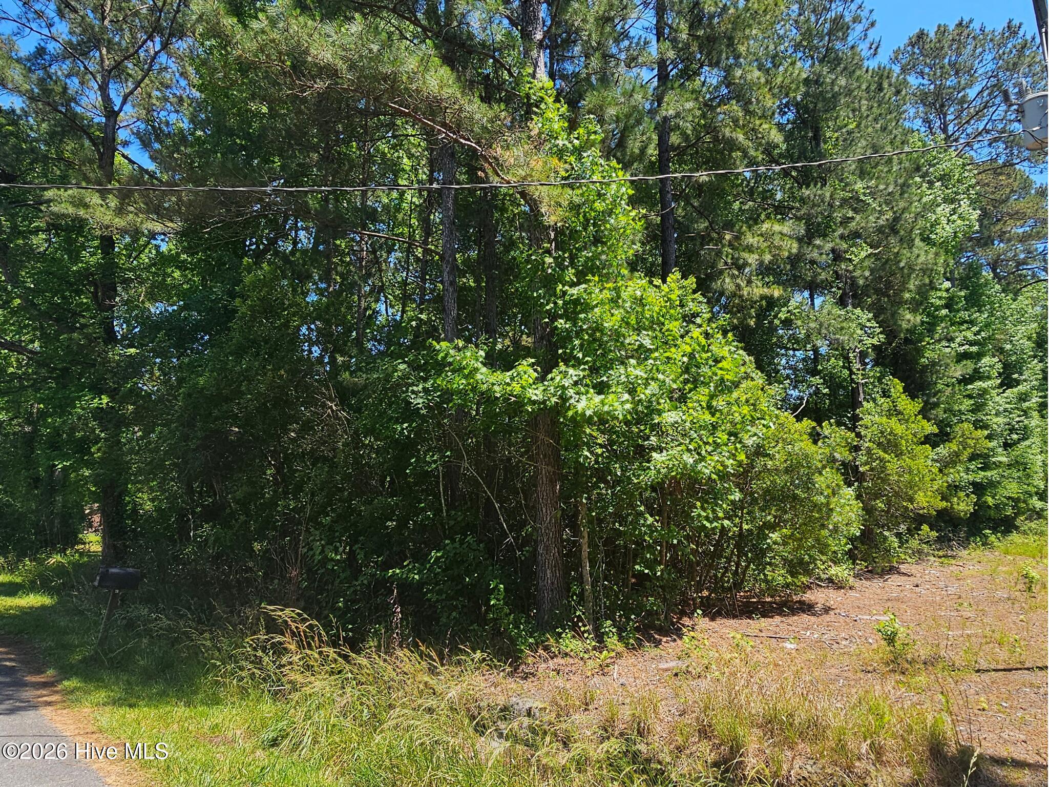 100575122 | Photo 11