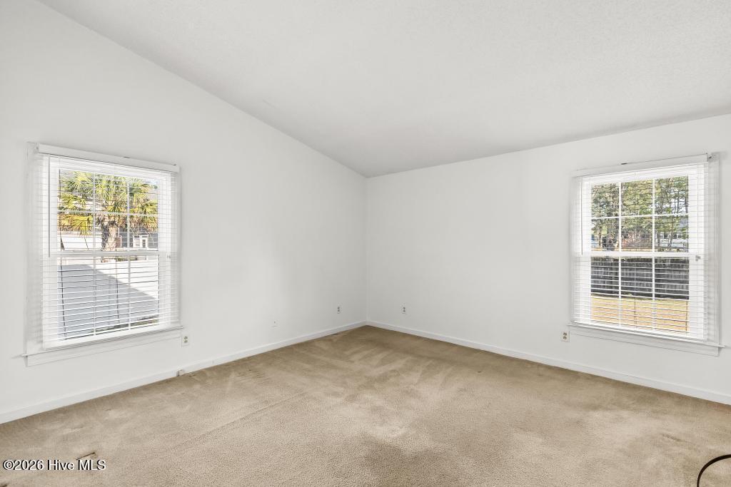 100566141 | Photo 24