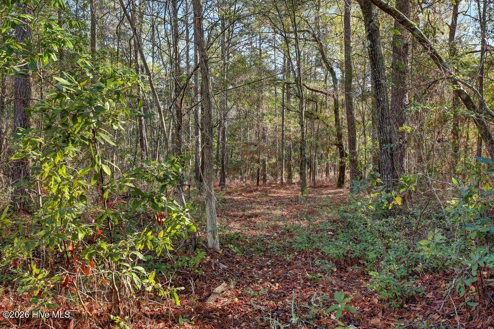 100560475 | Photo 26