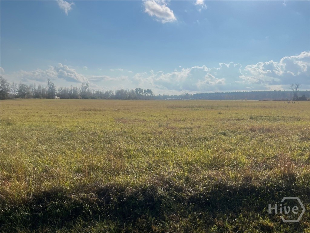 Homes for sale in Millen, GA | 0 Old Savannah Rd W, Millen, GA 30442 | MLS# SA344167