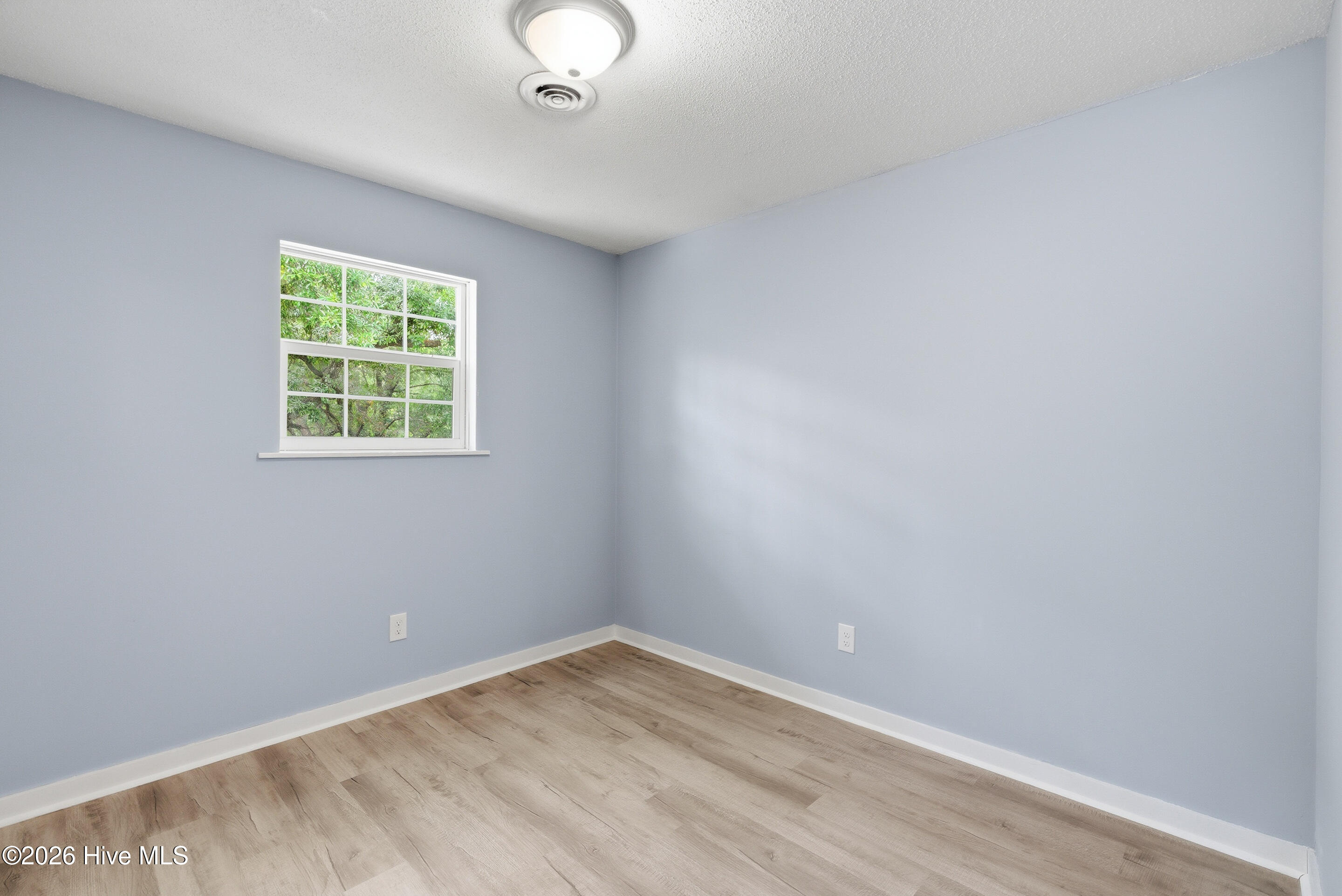 100568677 | Photo 12