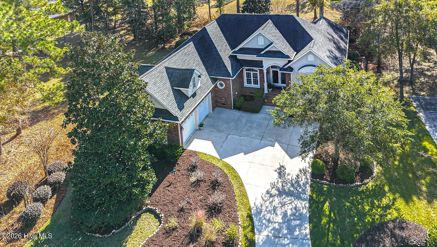 100551245 | Photo 61