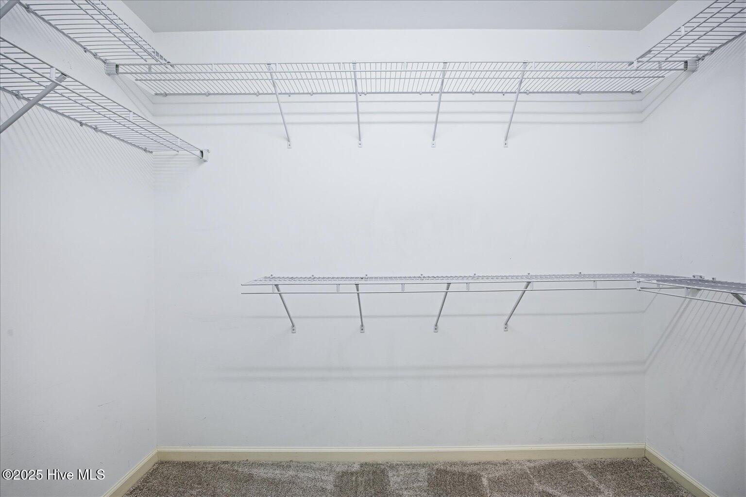 100543351 | Photo 34