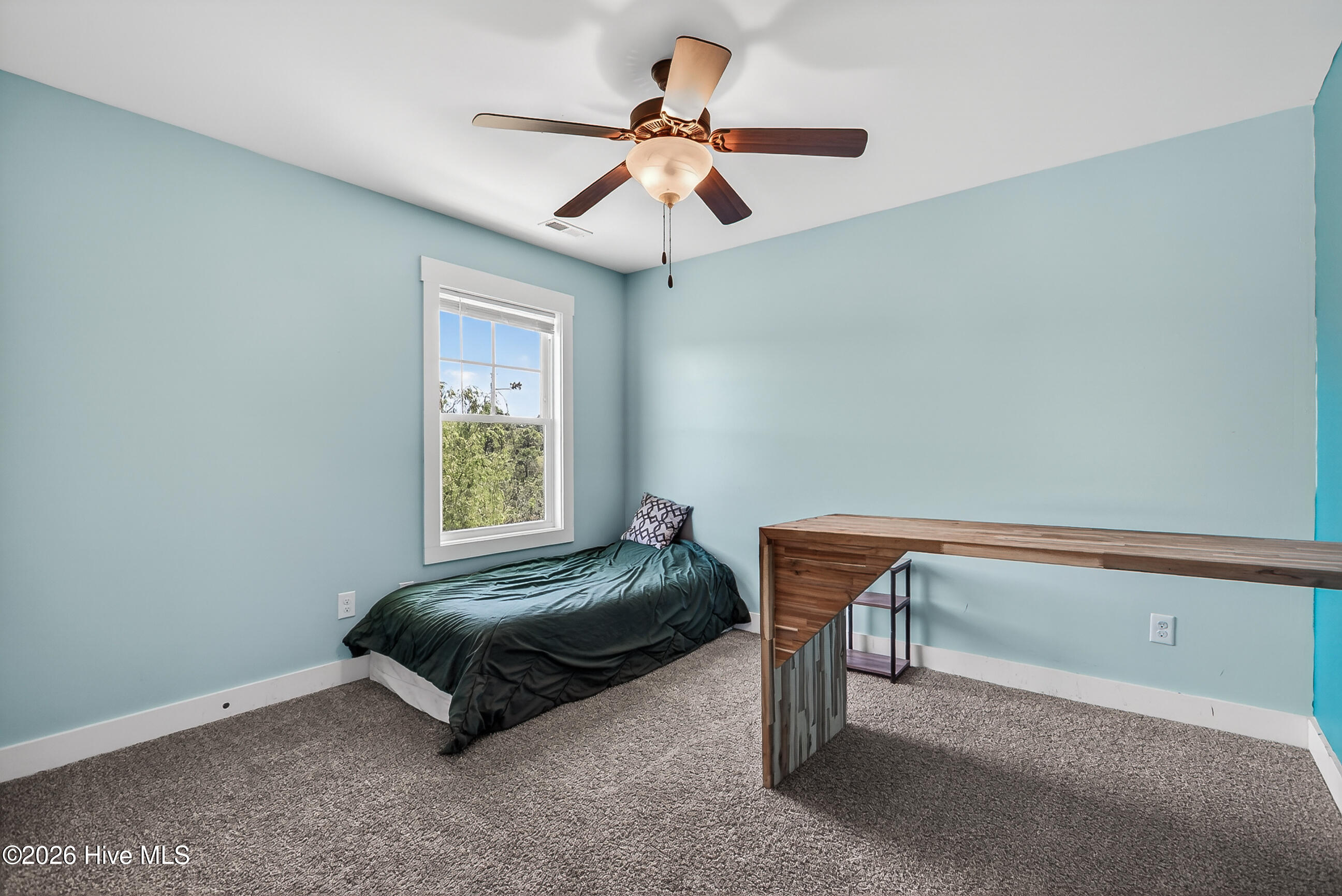 100569243 | Photo 26