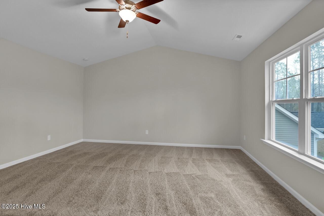 100543340 | Photo 31