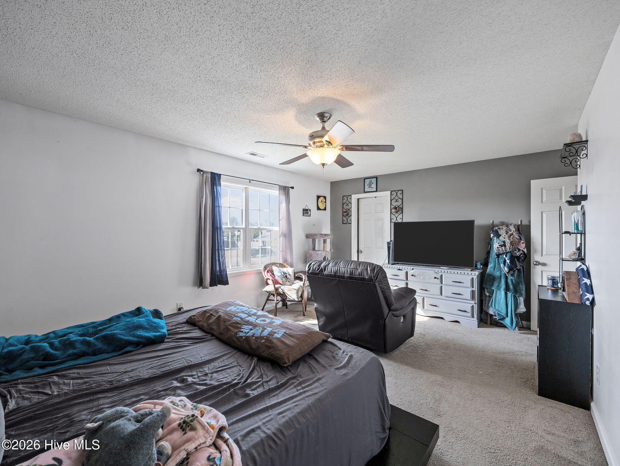 100568127 | Photo 22