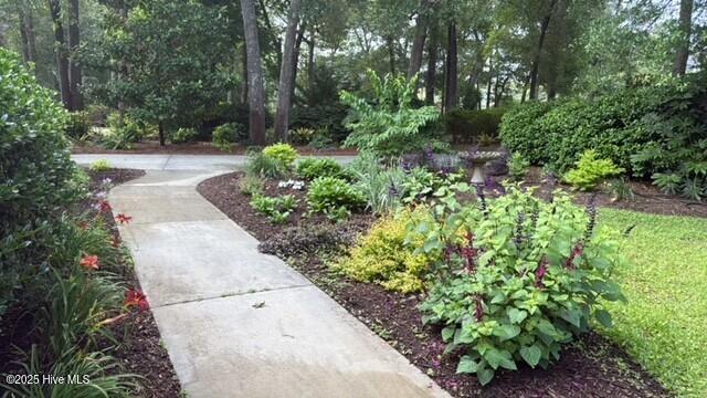 100538166 | Photo 45