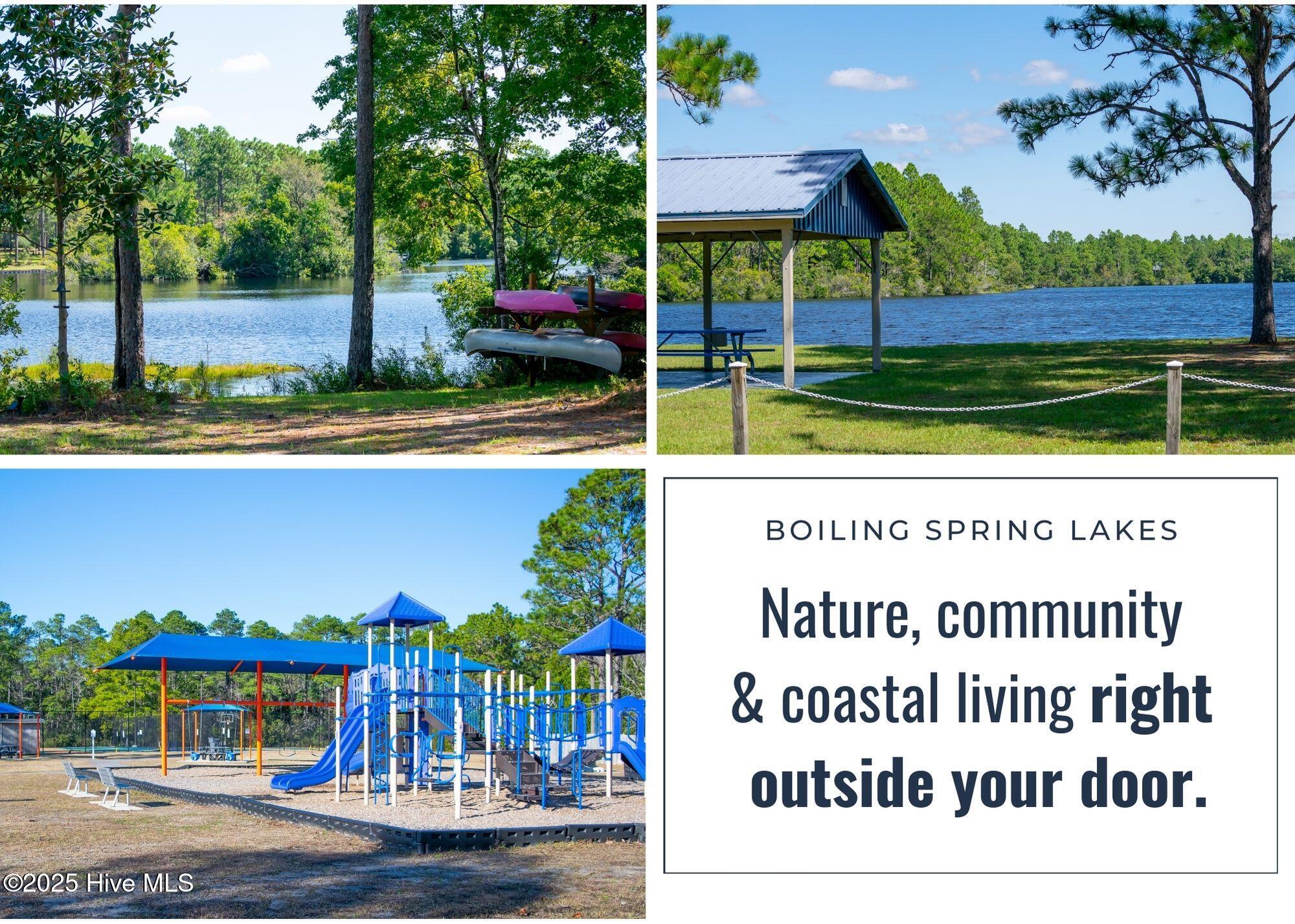 100535789 | Photo 41