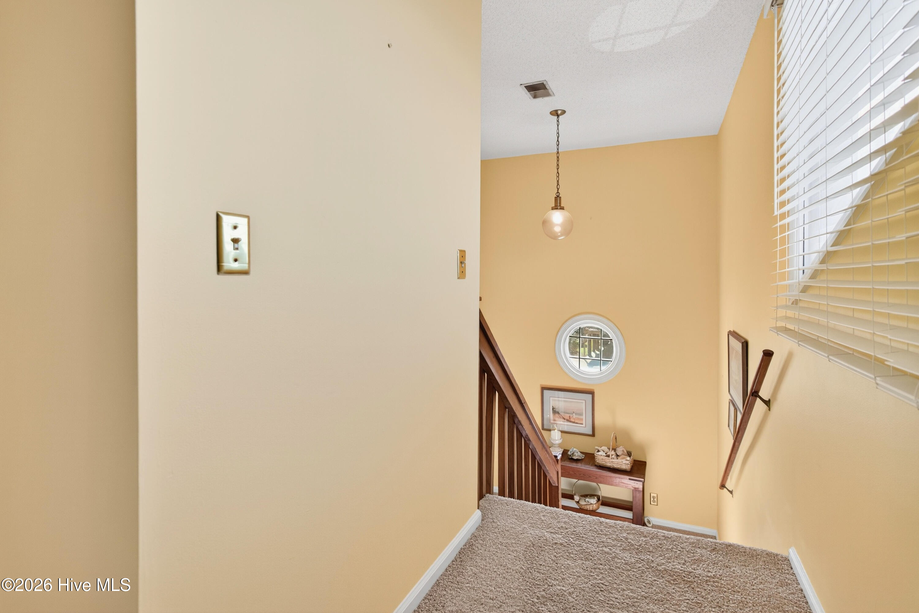 100558876 | Photo 27