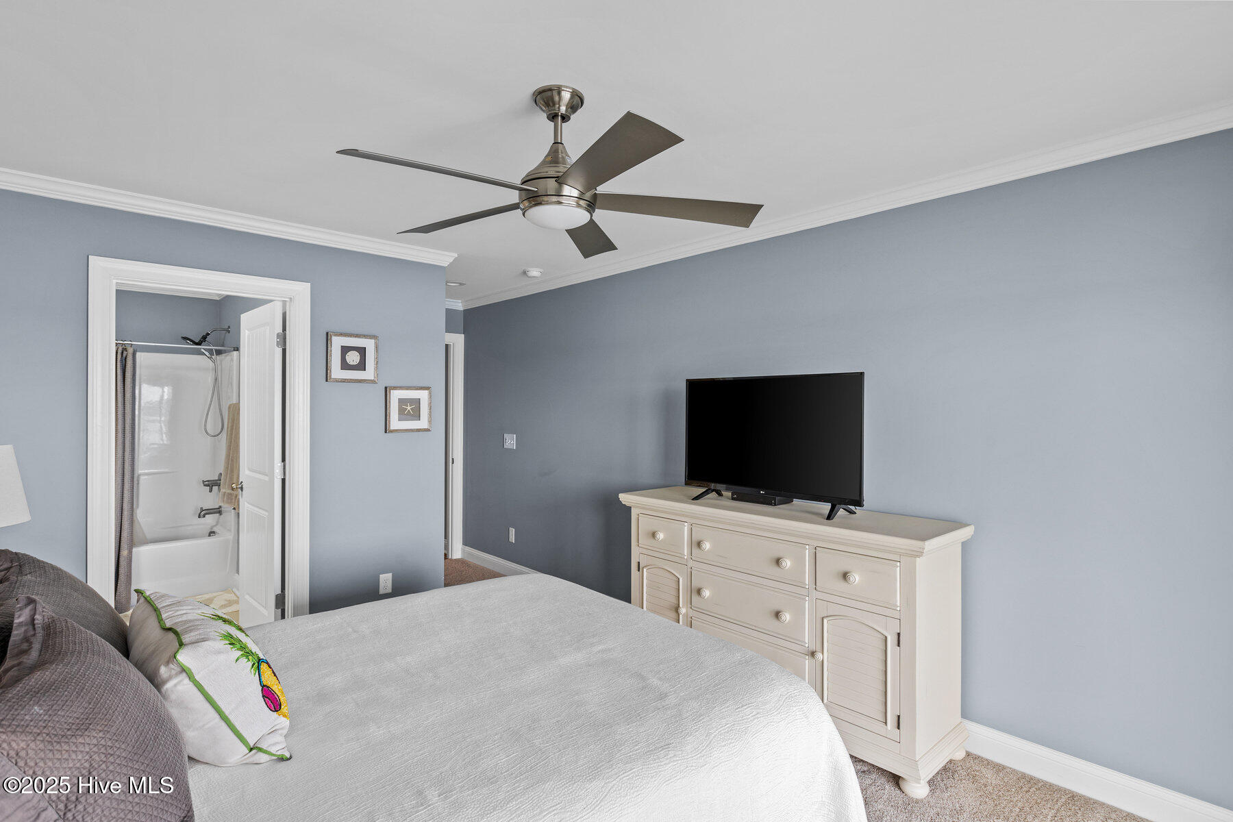 100518577 | Photo 30