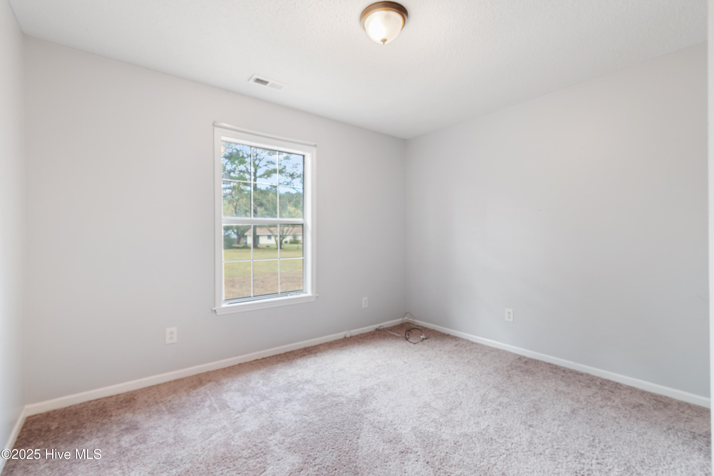 100539180 | Photo 15