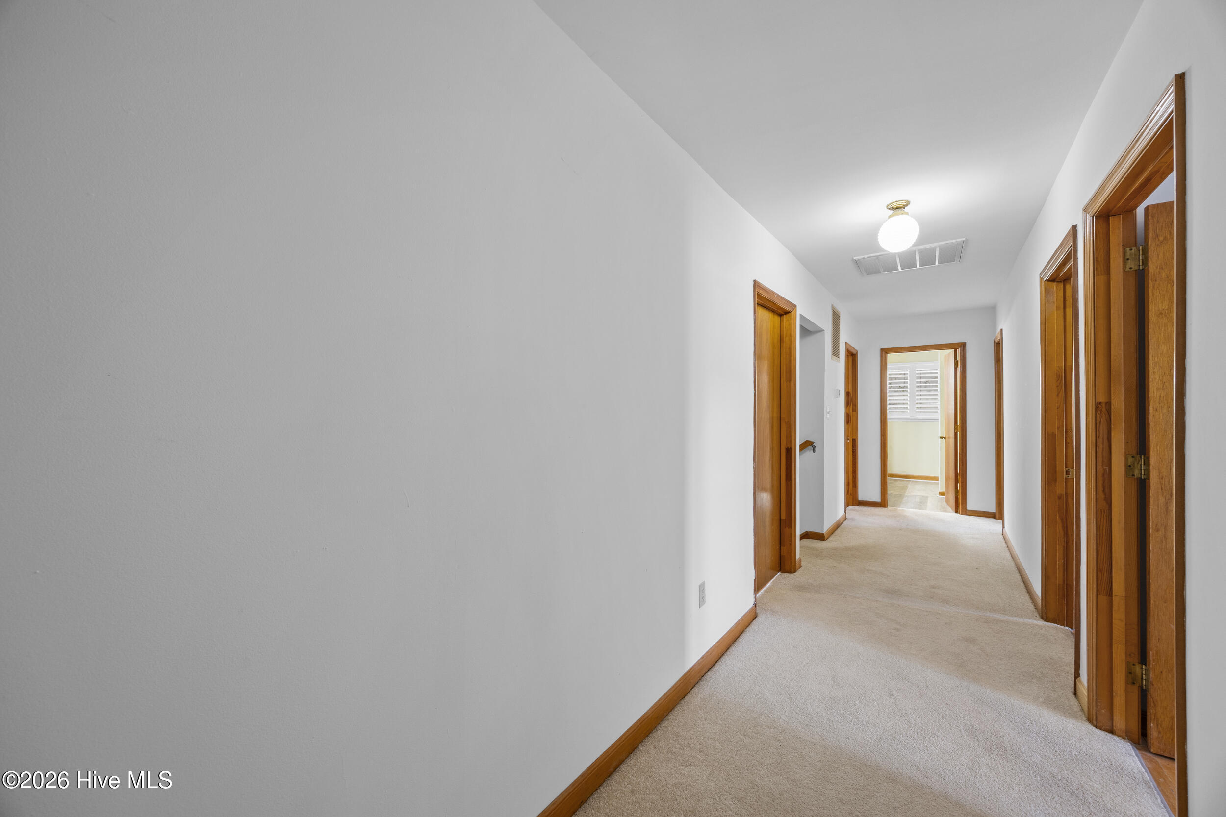 100564619 | Photo 19