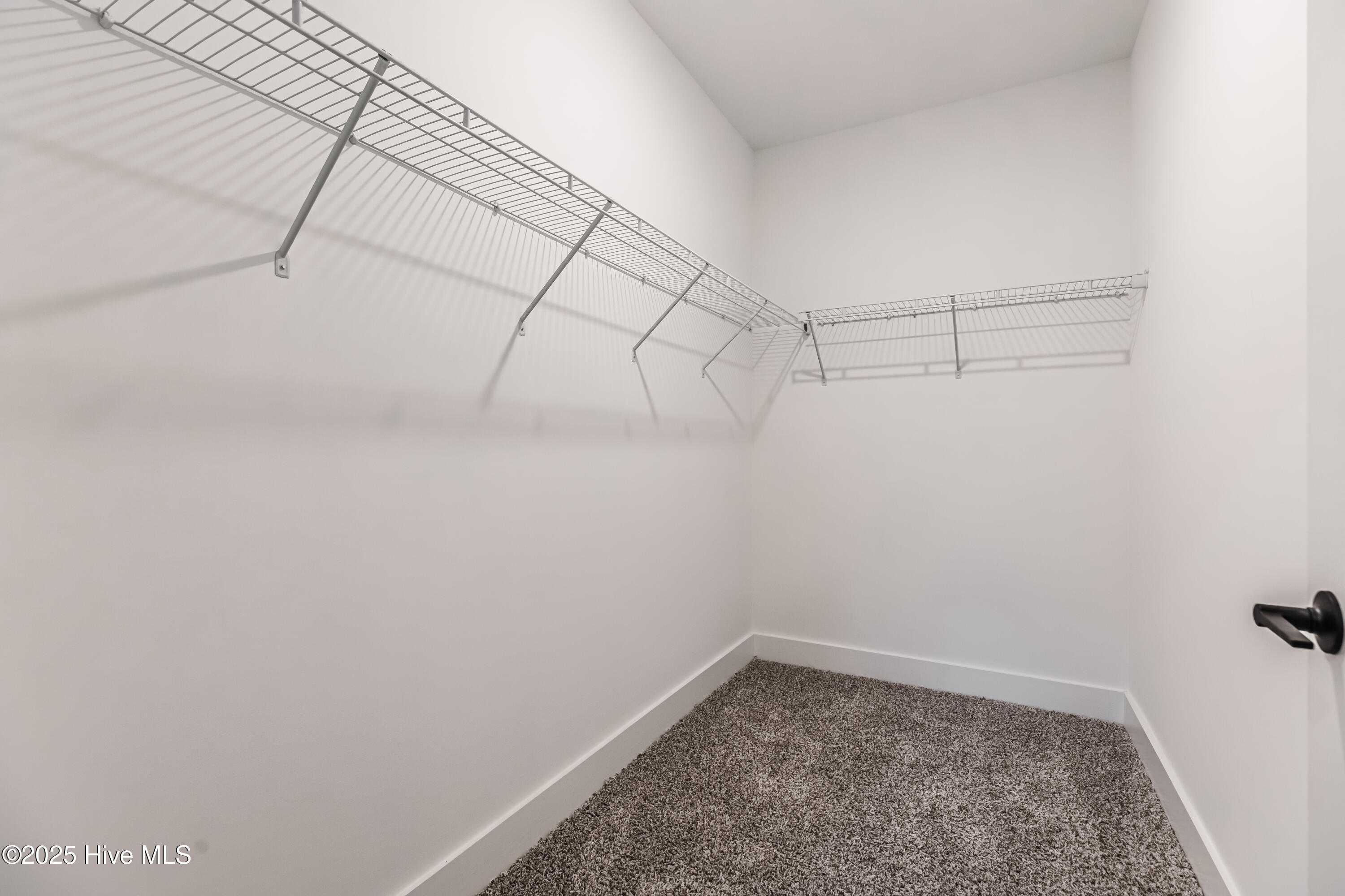 100529364 | Photo 24