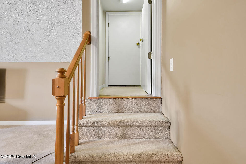 100541437 | Photo 24