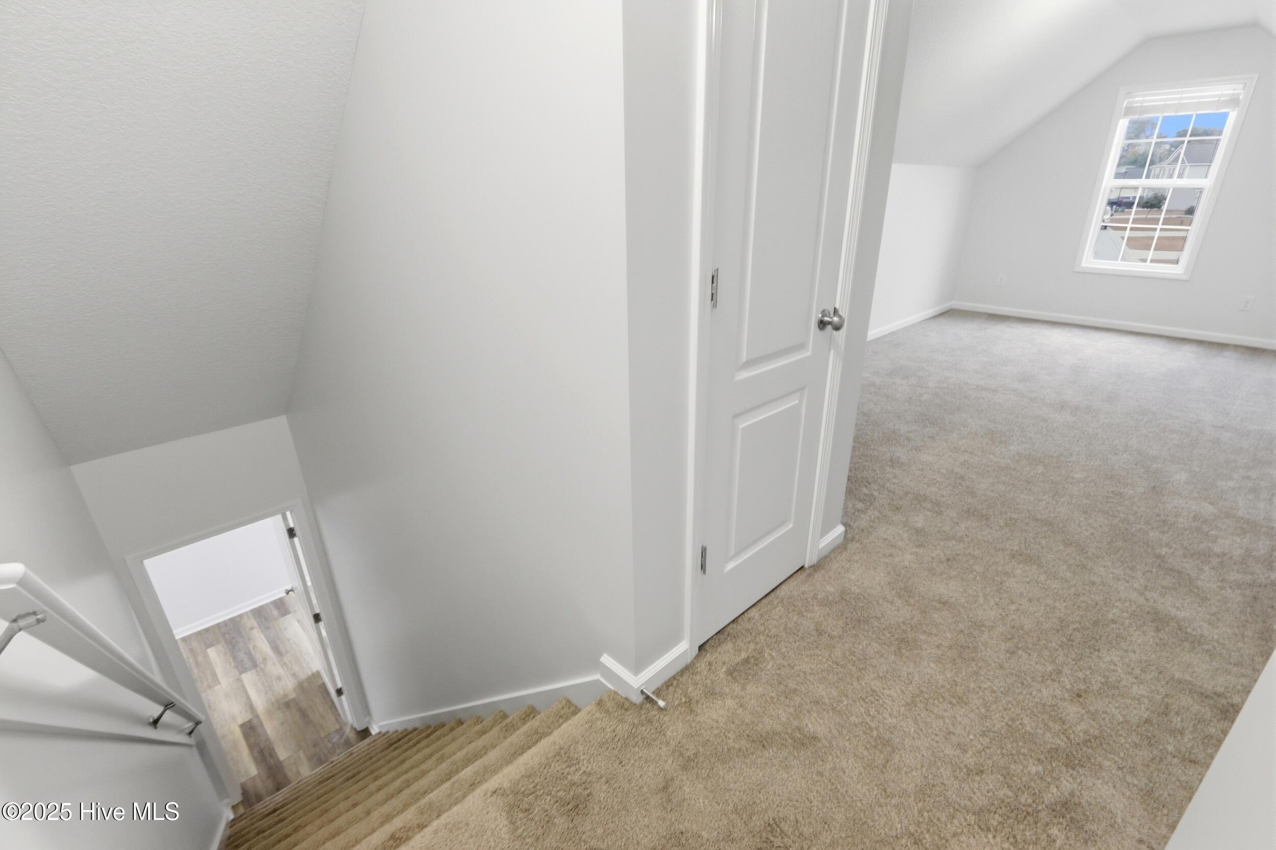 100545601 | Photo 41