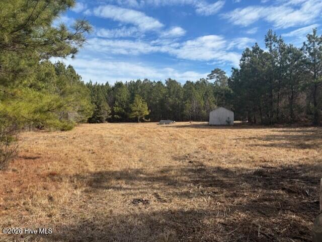 Homes for sale in Pollocksville, NC | 10 Acres Scott Road, Pollocksville, NC 28573 | MLS# 100556620