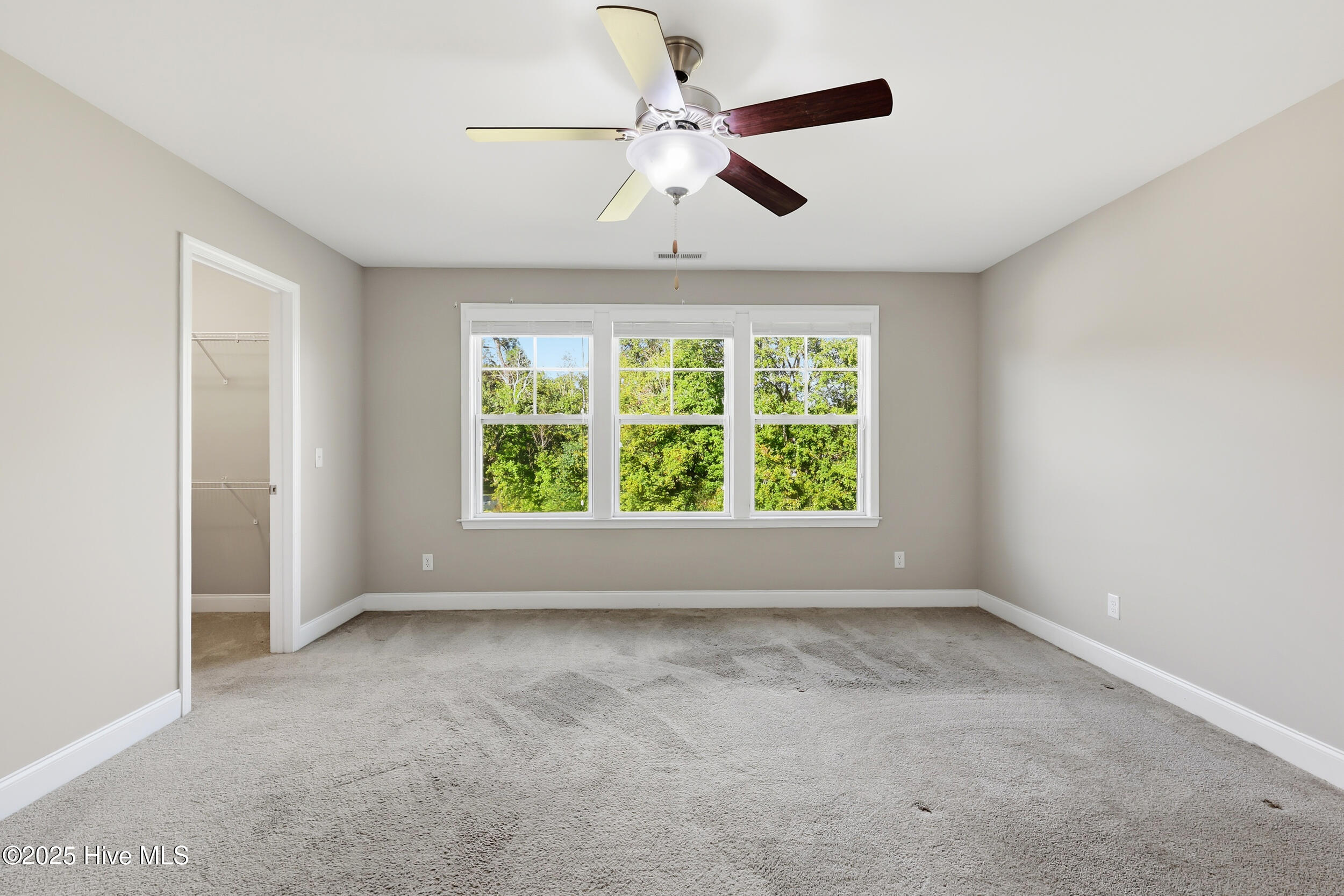 100537406 | Photo 21