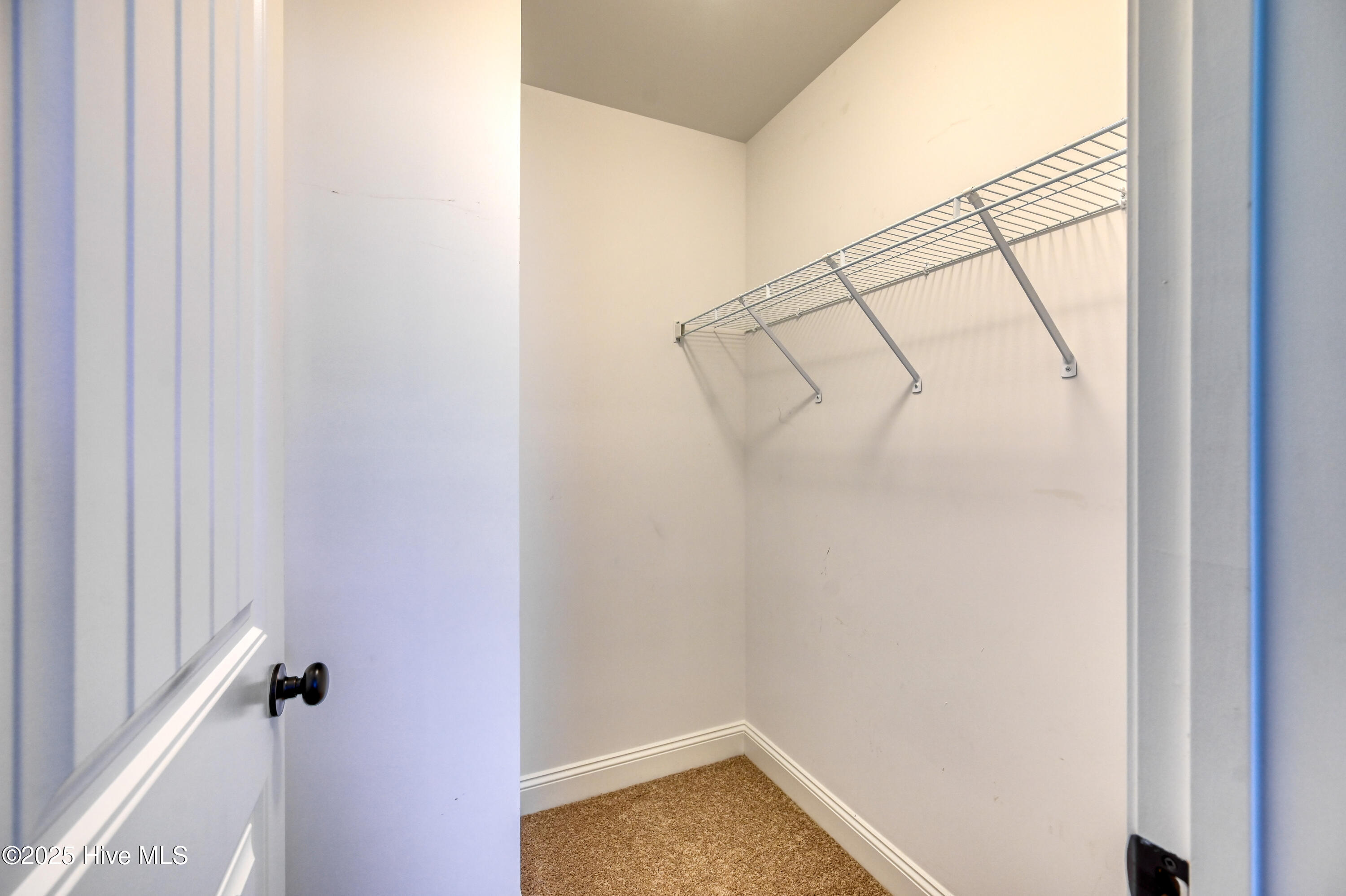 100531923 | Photo 31