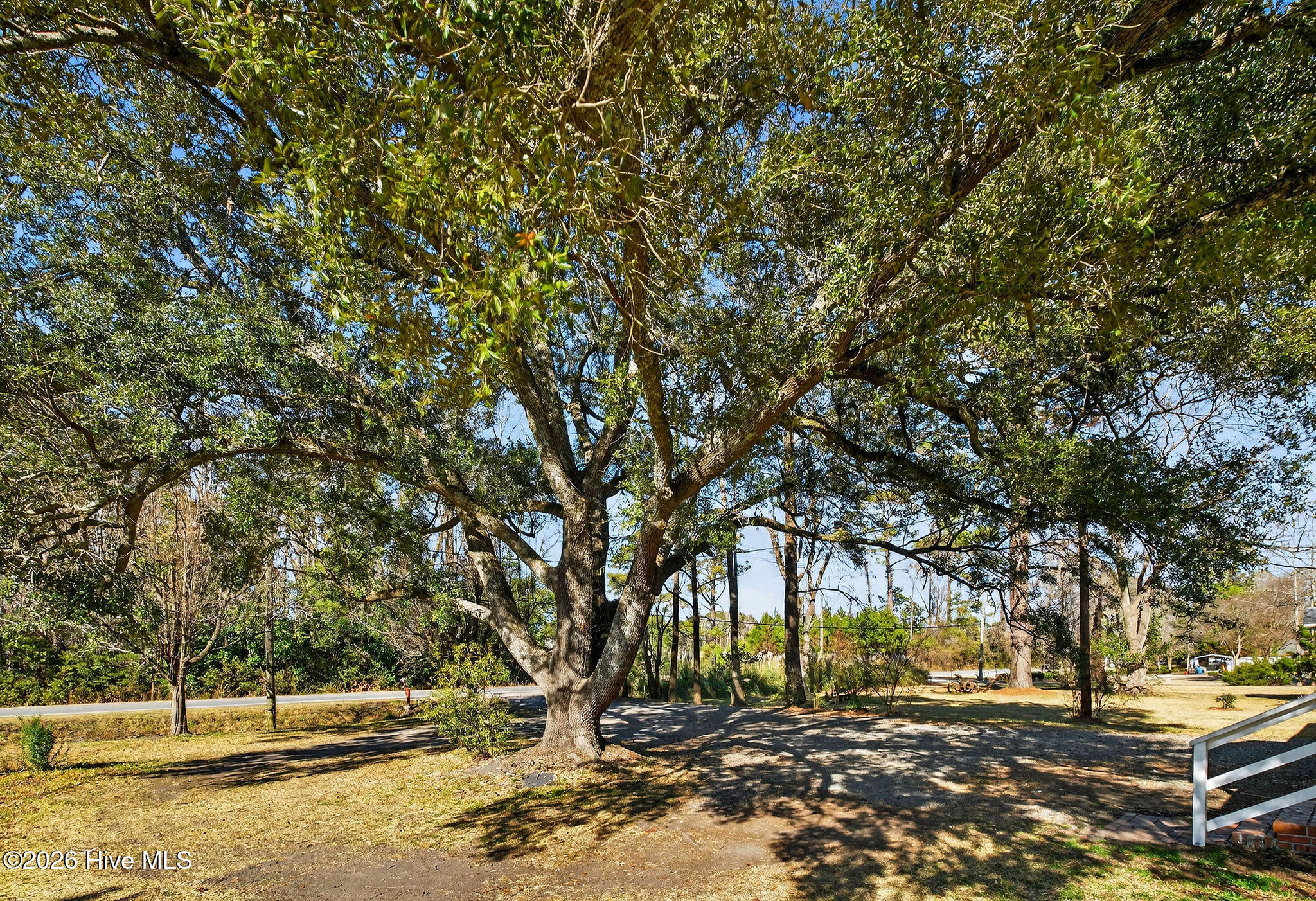 100550452 | Photo 41