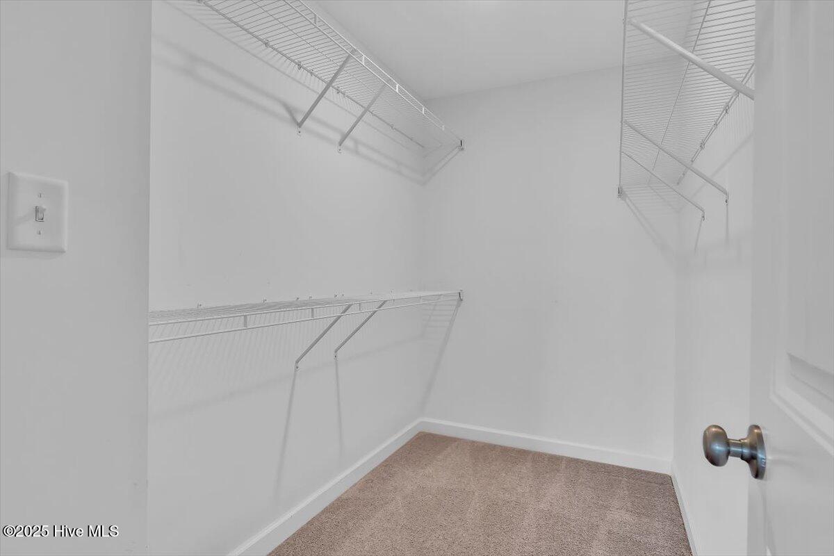 100537341 | Photo 27