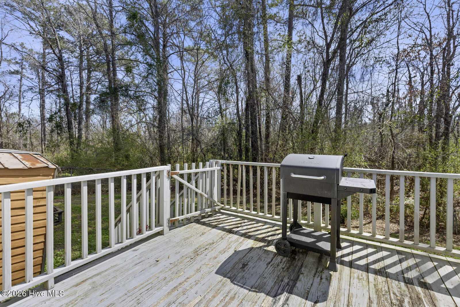 100565637 | Photo 21