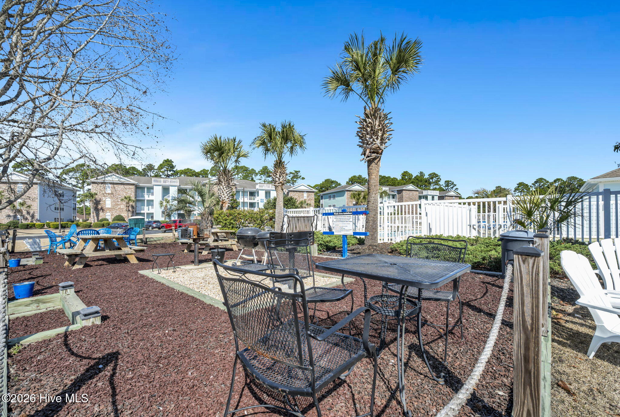 100556541 | Photo 24