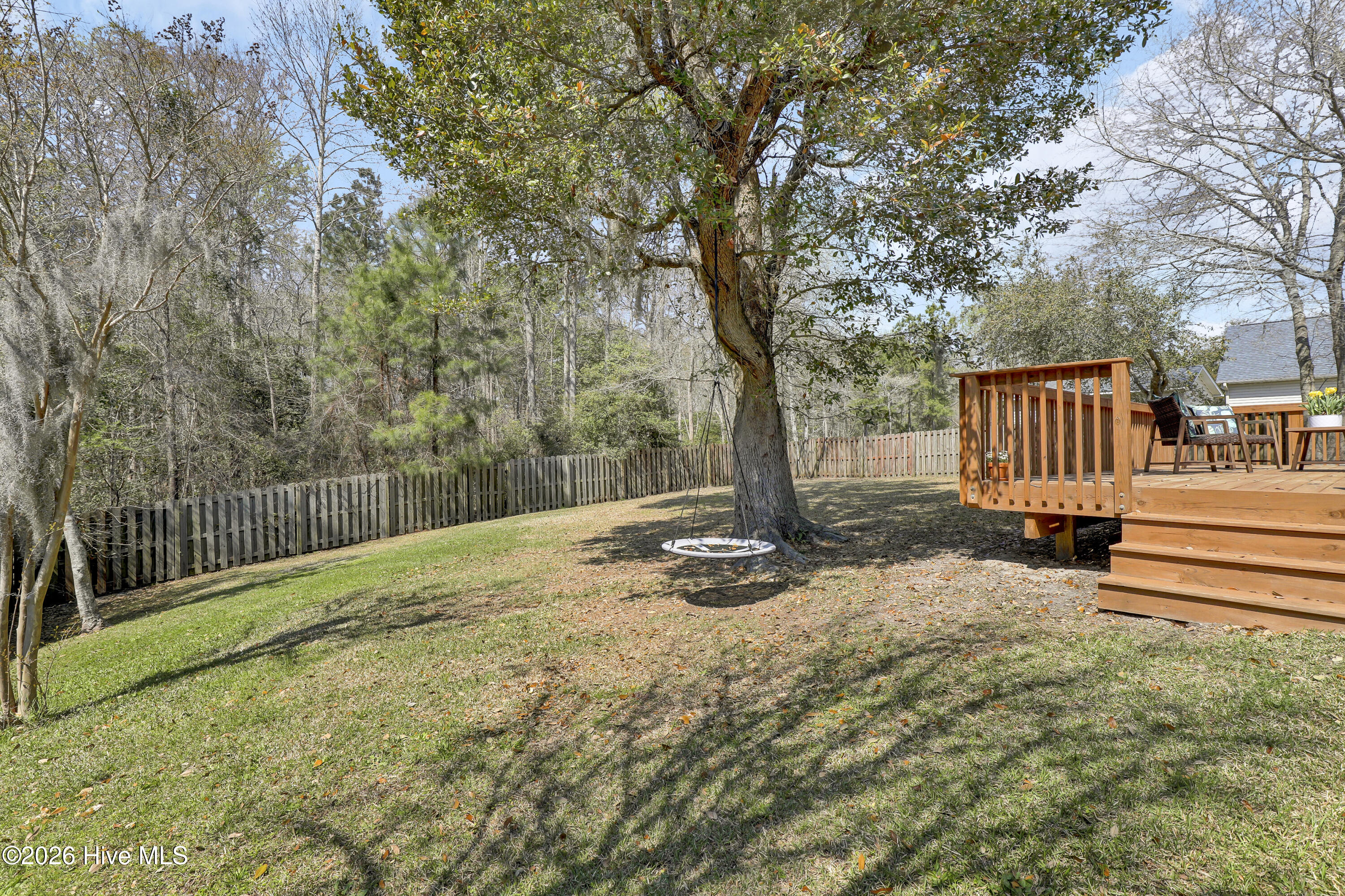 100556544 | Photo 25