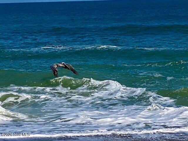 1 Red Bay Court, Bald Head Island, NC, 28461