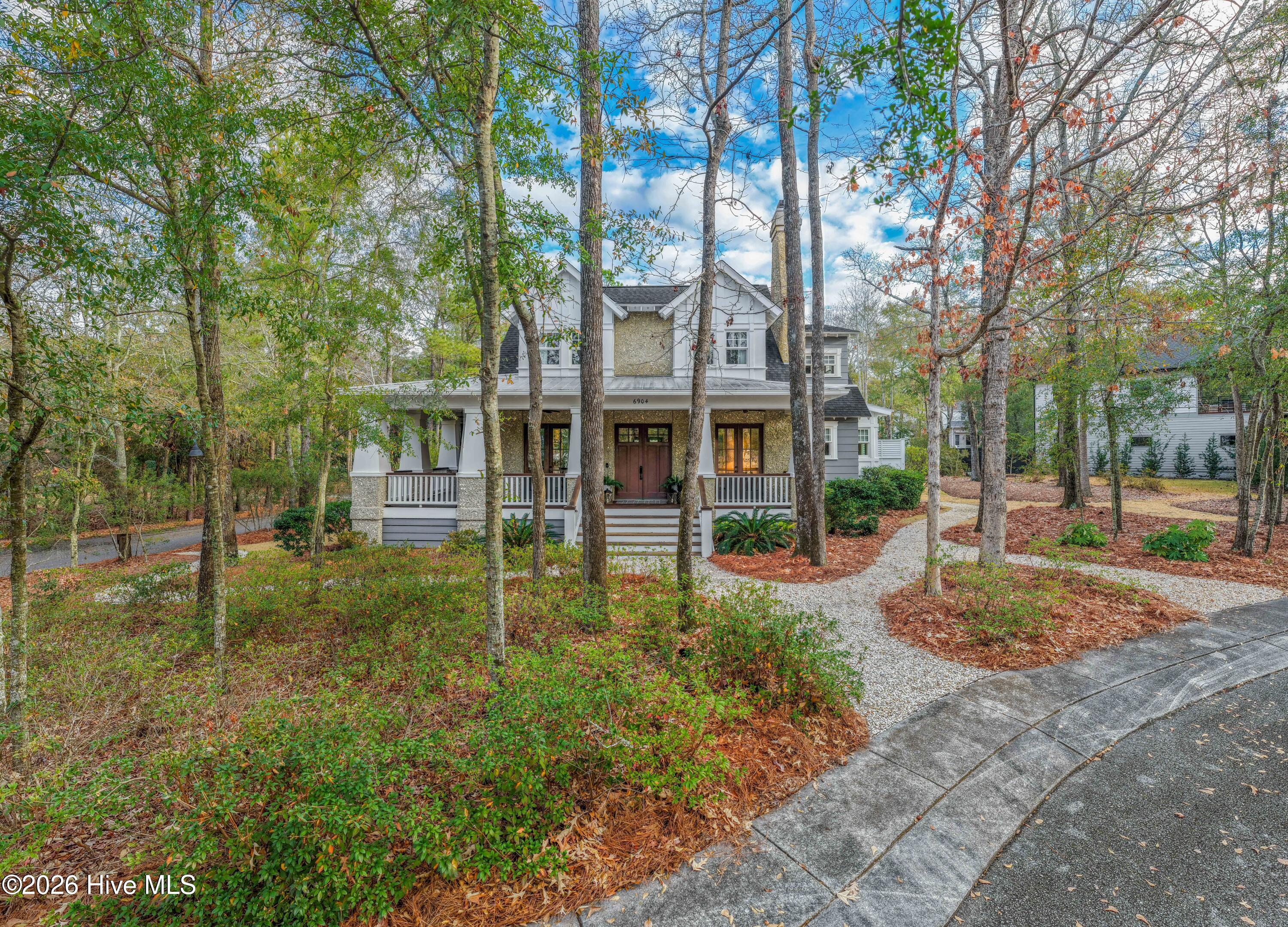 100549444 | Photo 10