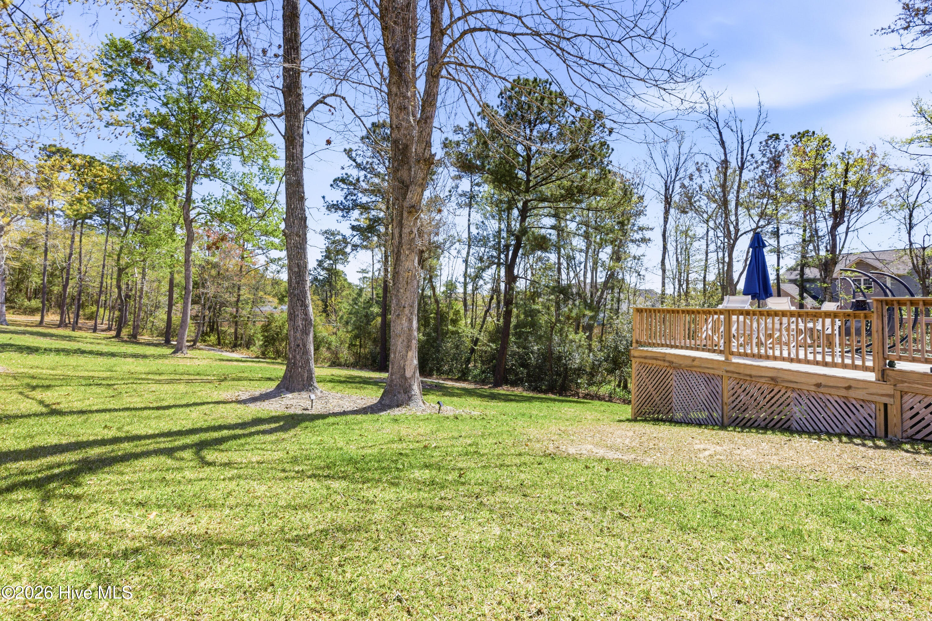 100563821 | Photo 39