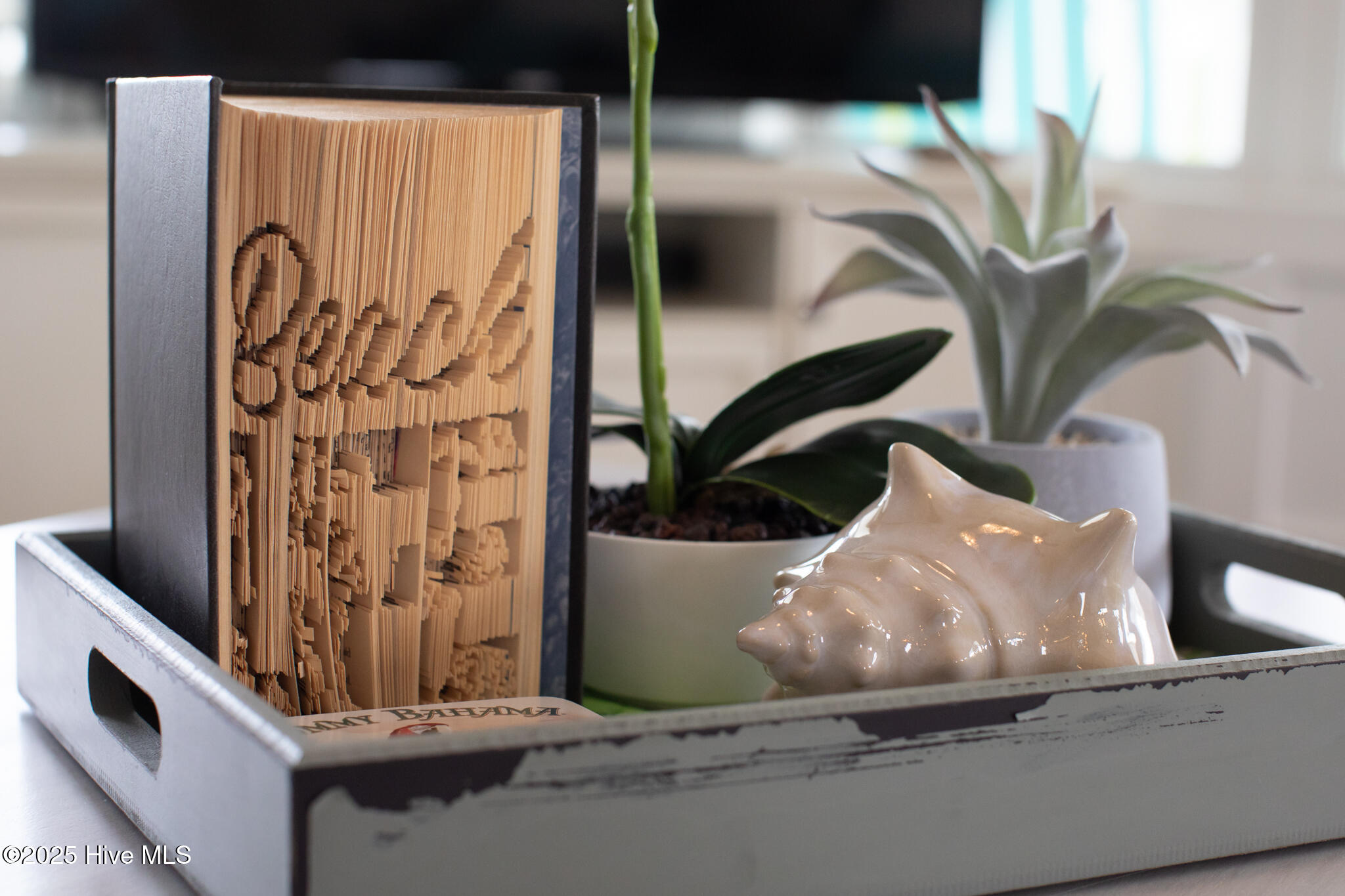 100507541 | Photo 66