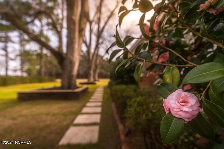 100424618 | Photo 29