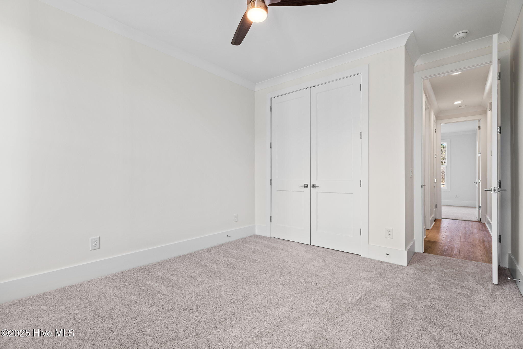 100523885 | Photo 41