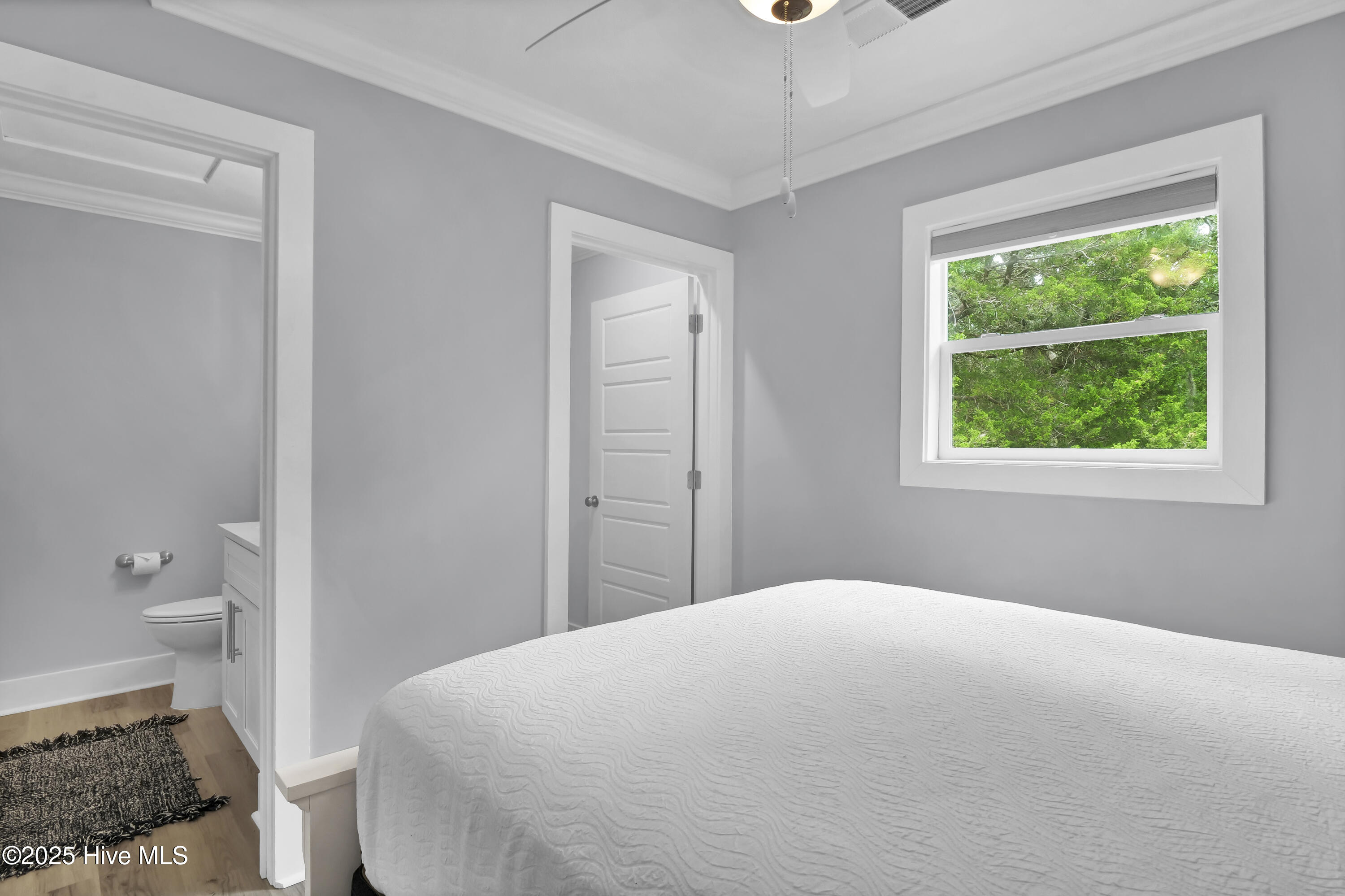 100542067 | Photo 25