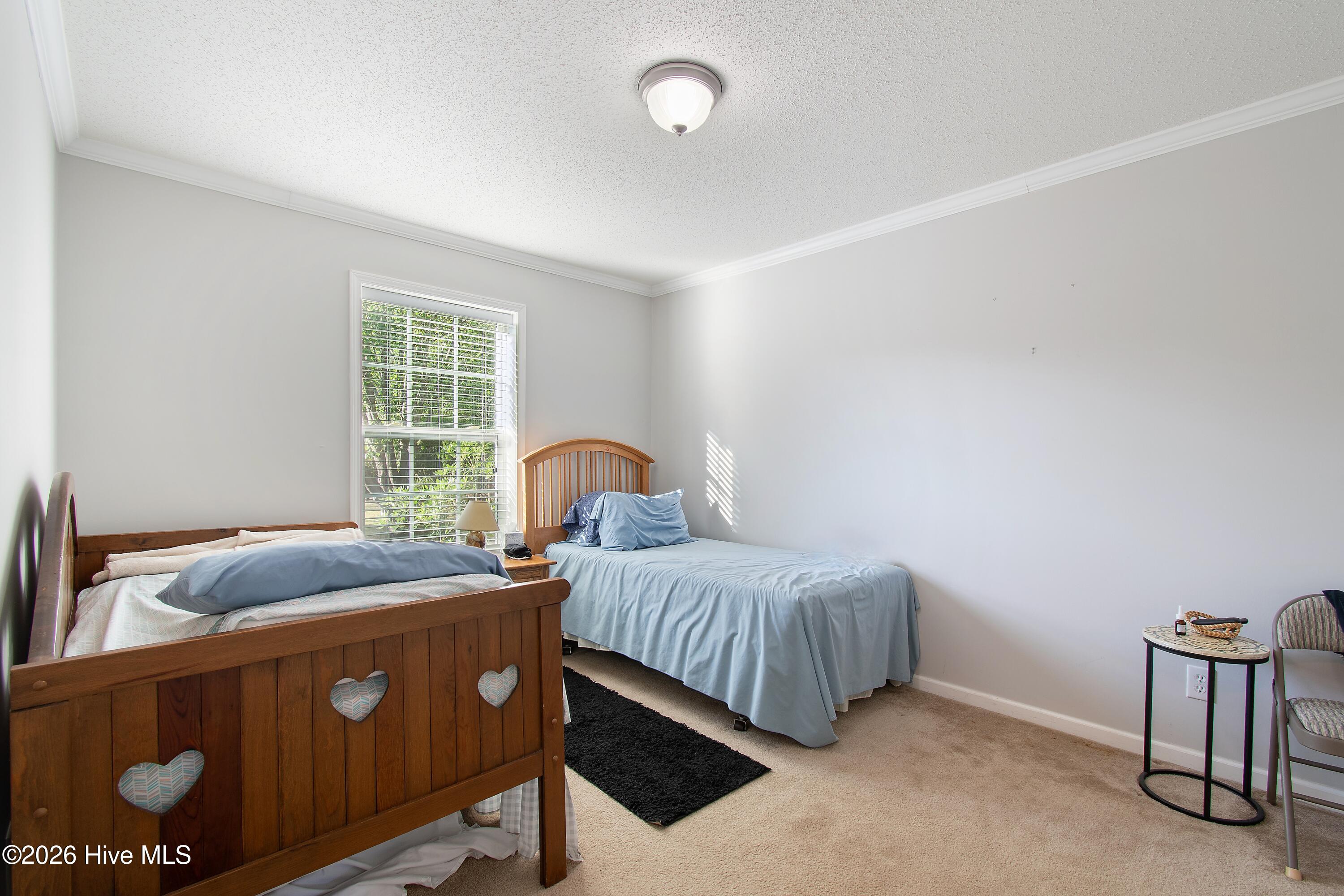 100568231 | Photo 43