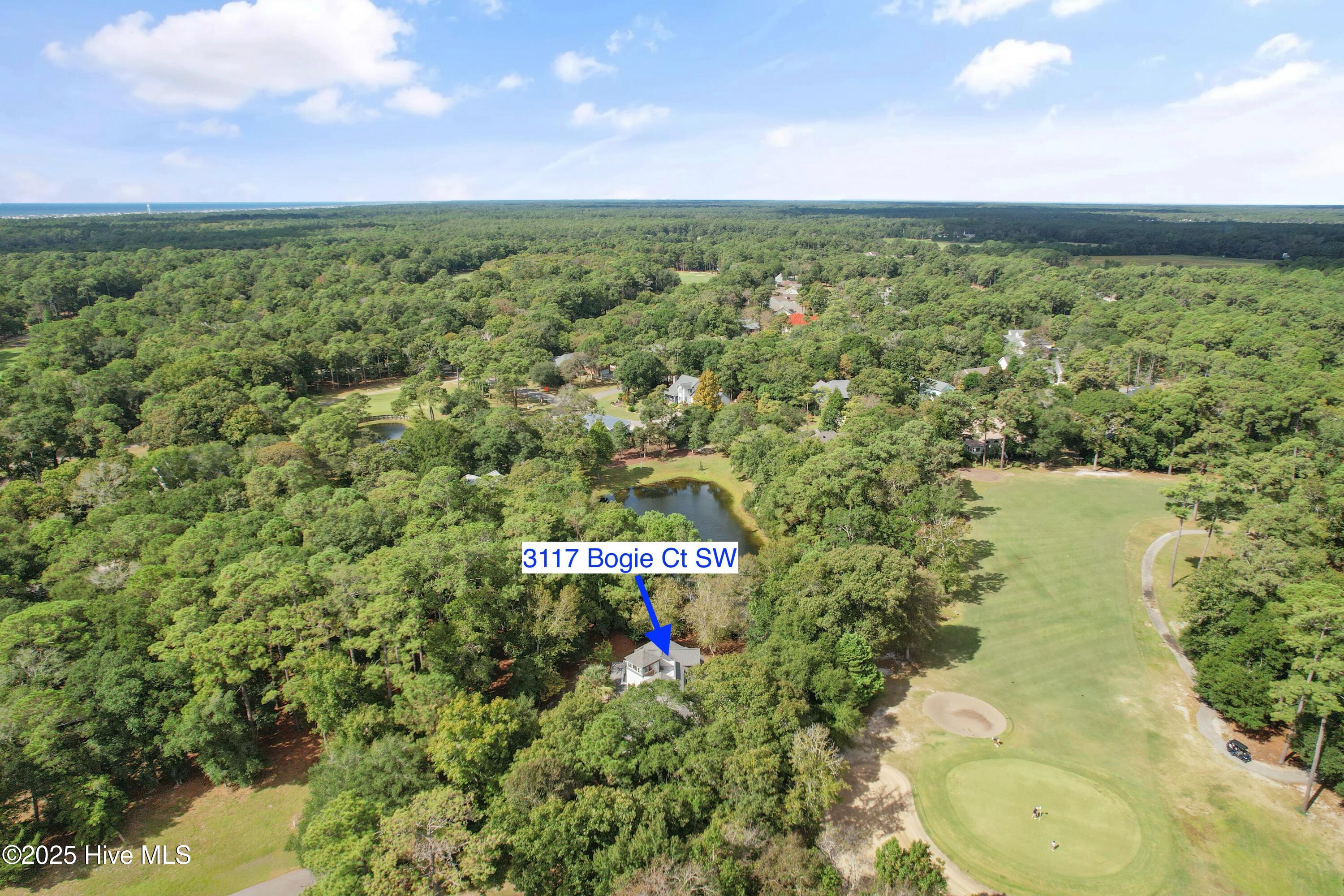 100535274 | Photo 50