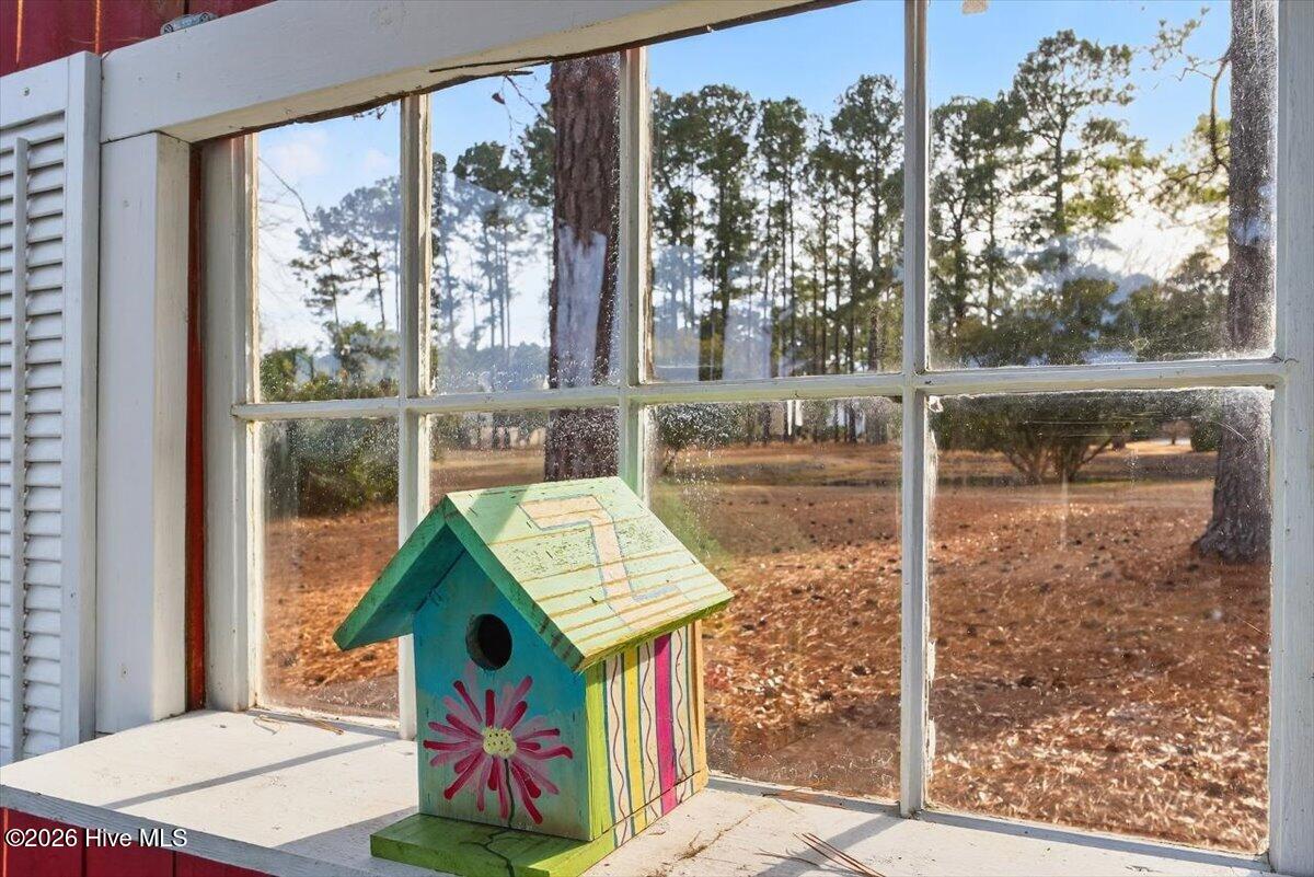 100554267 | Photo 49