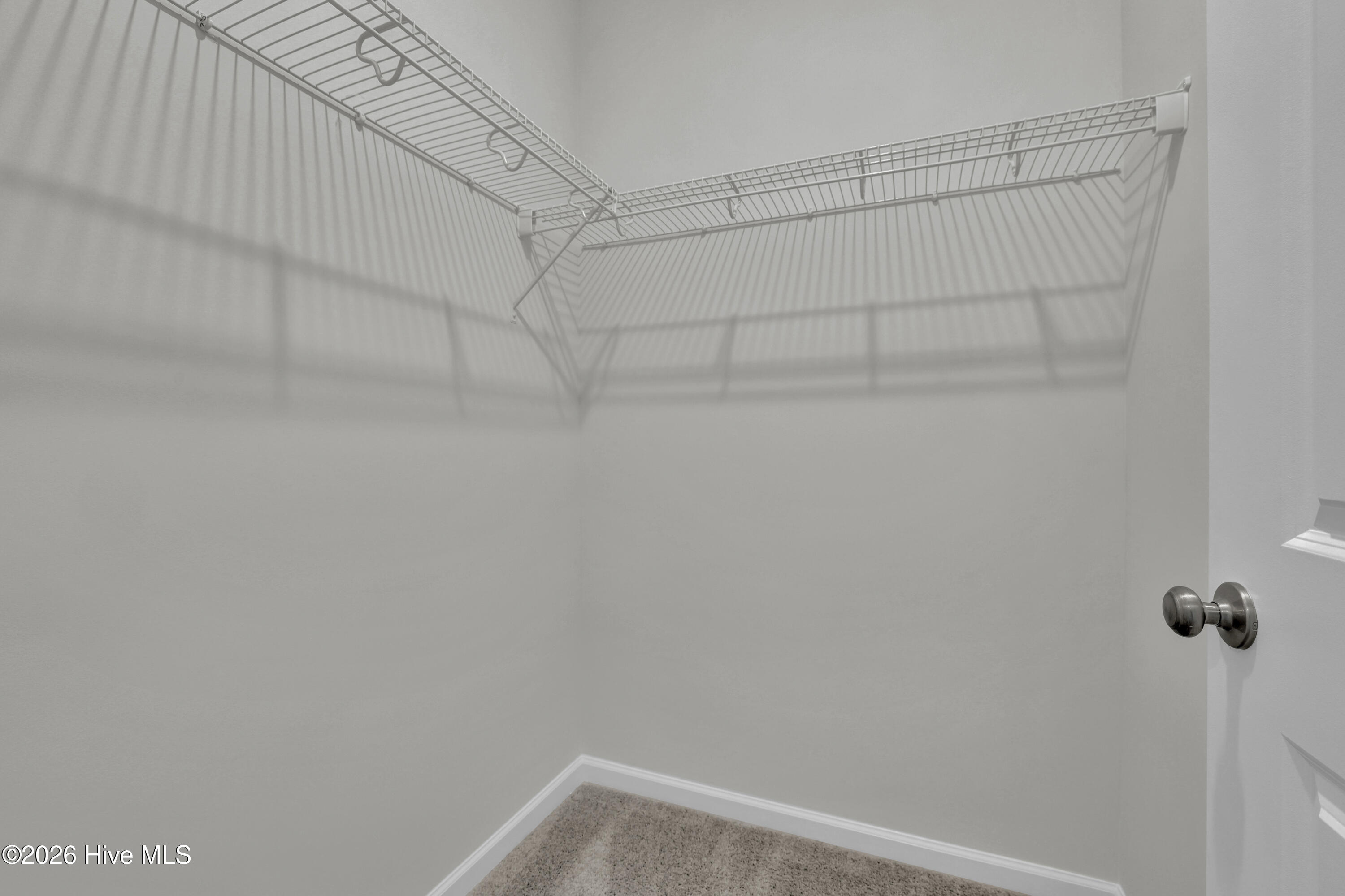 100580867 | Photo 24