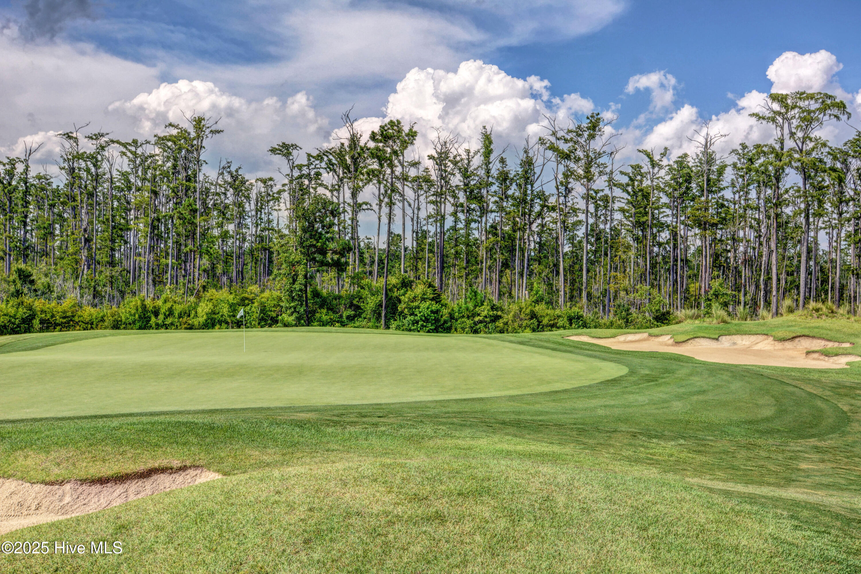 100537444 | Photo 43