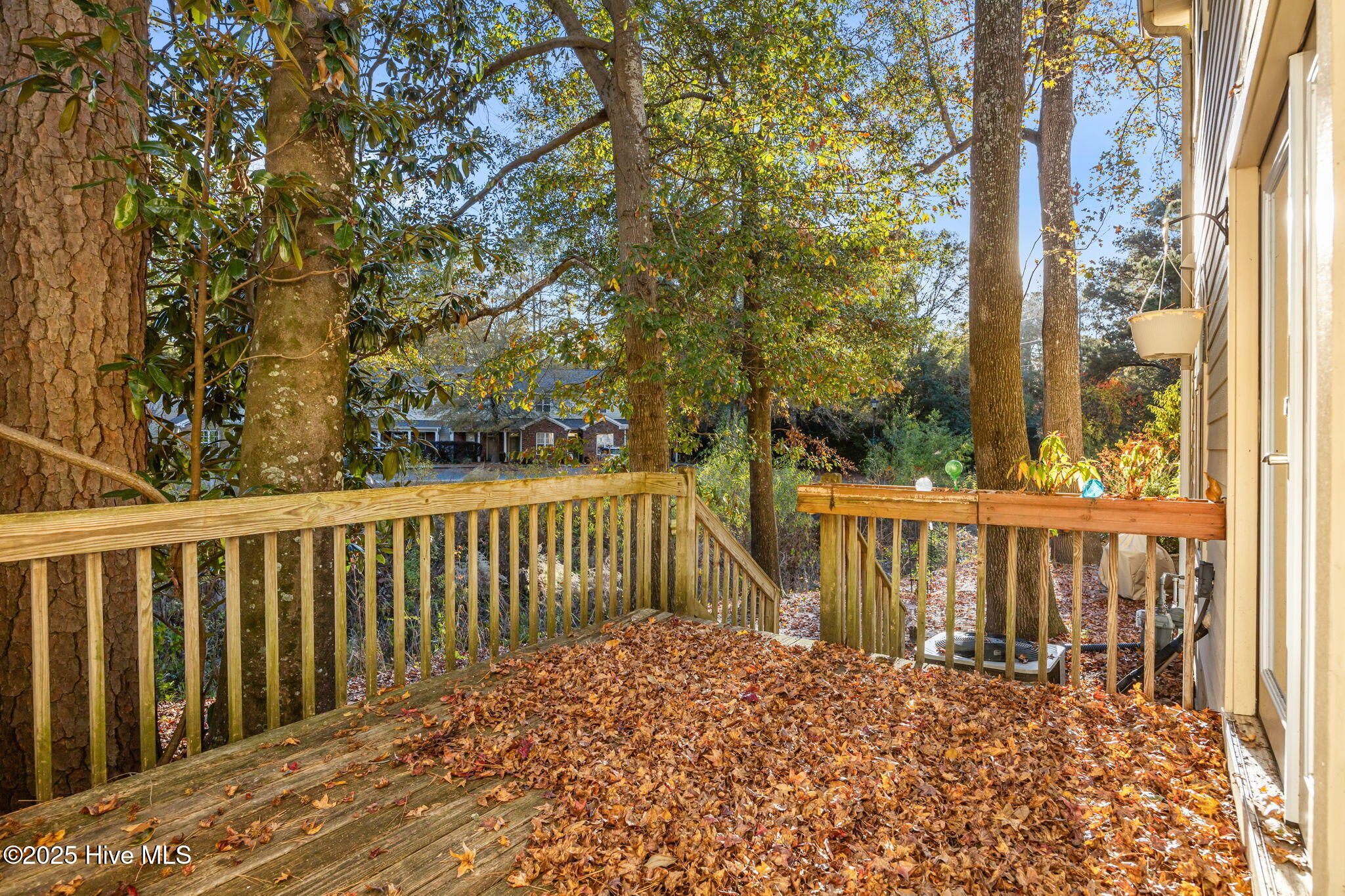 100543973 | Photo 34