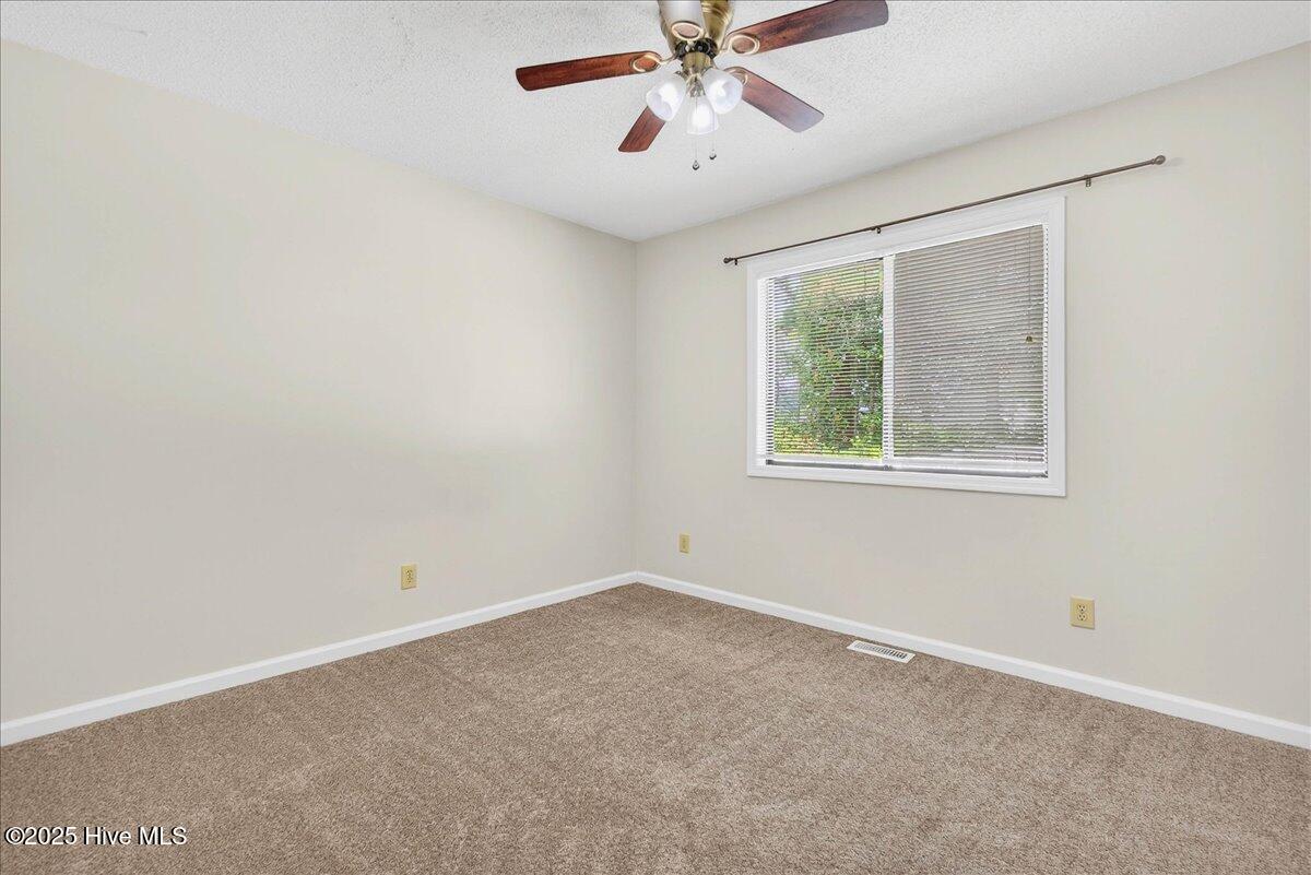 100531435 | Photo 16