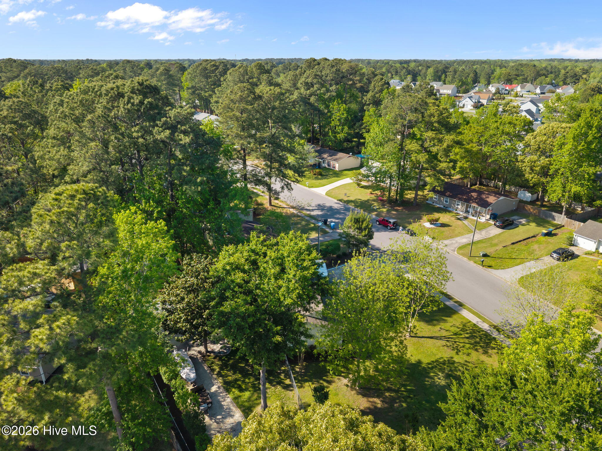 100567245 | Photo 33