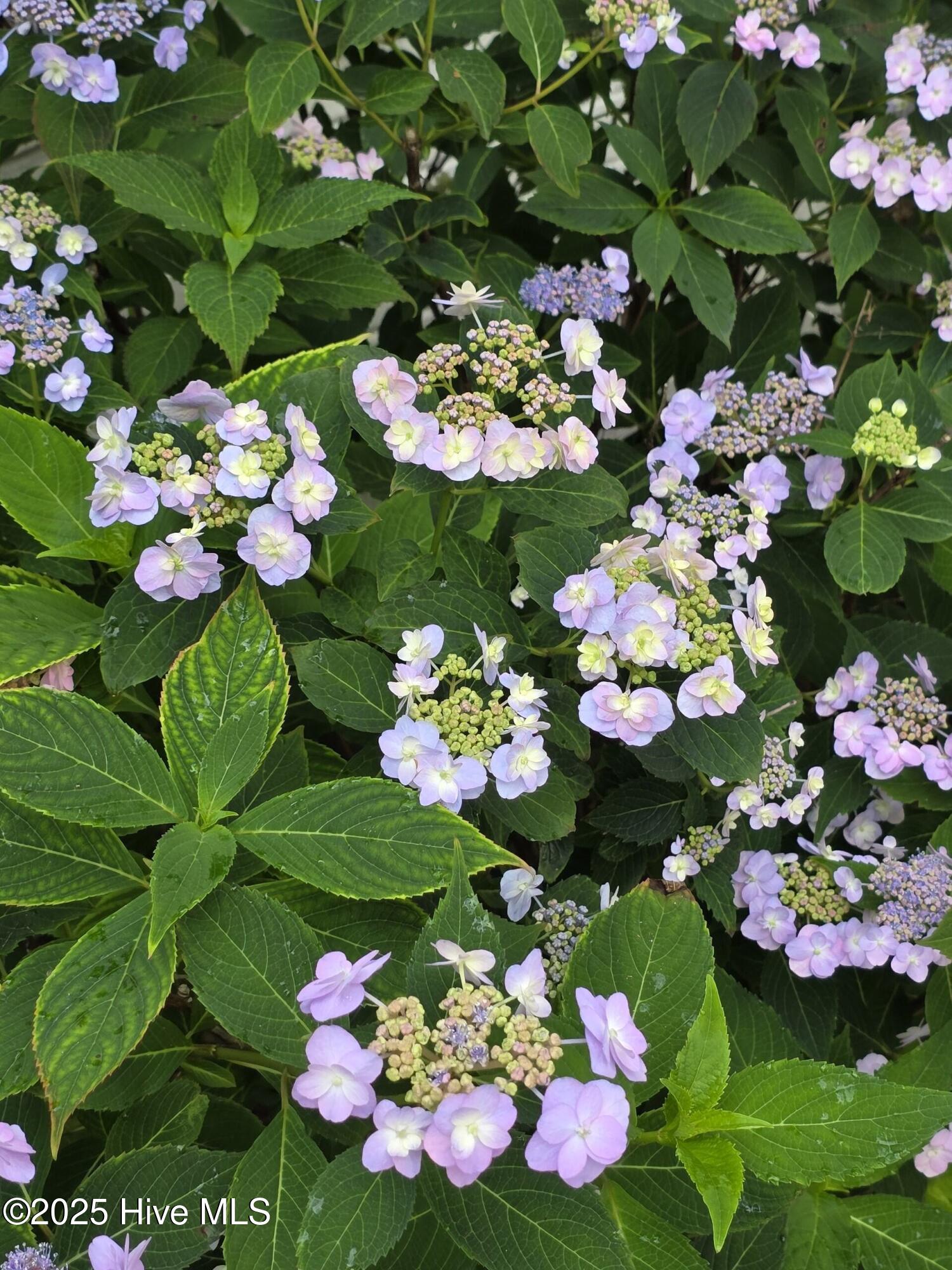 100500123 | Photo 43