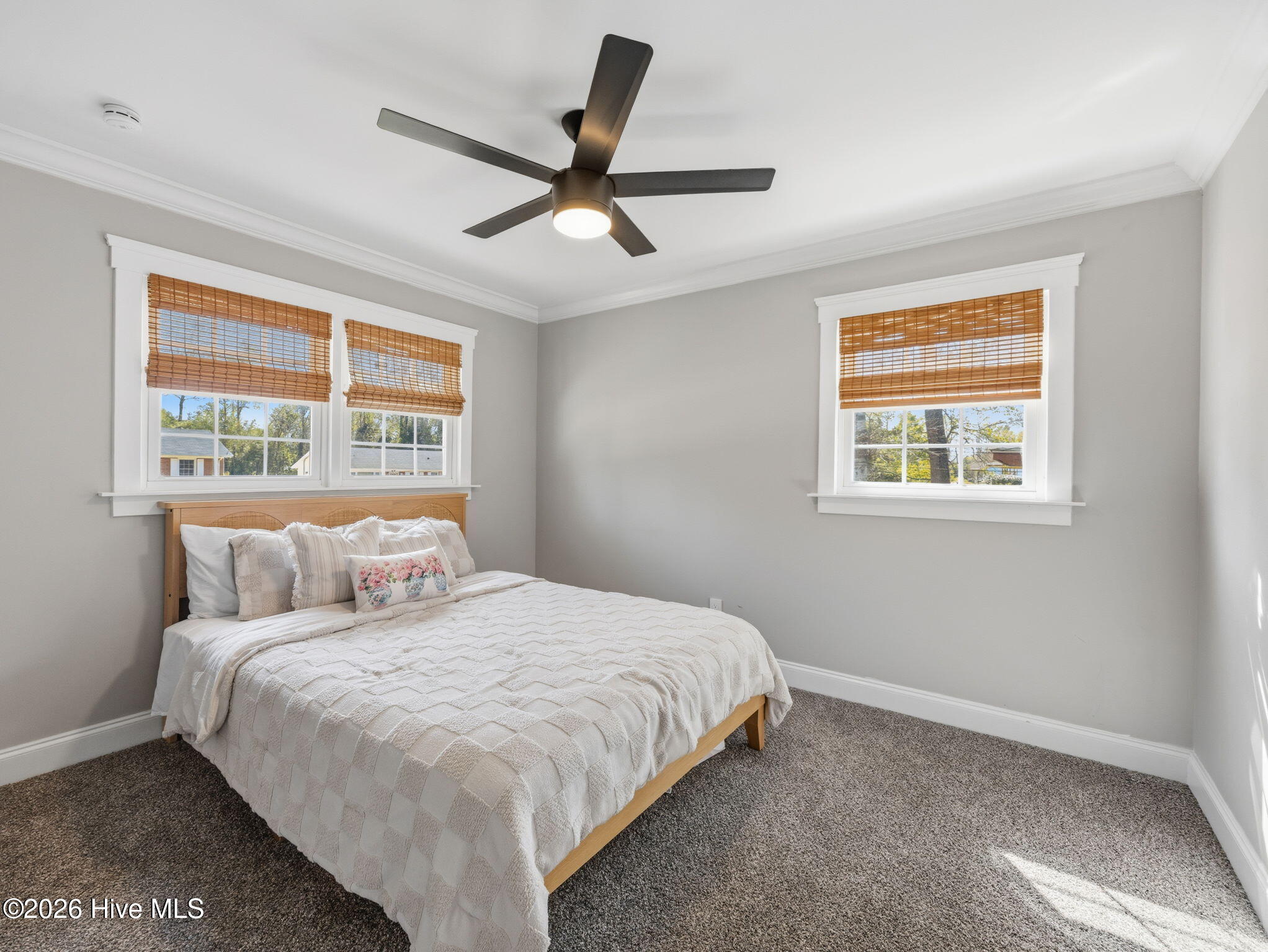 100564380 | Photo 21