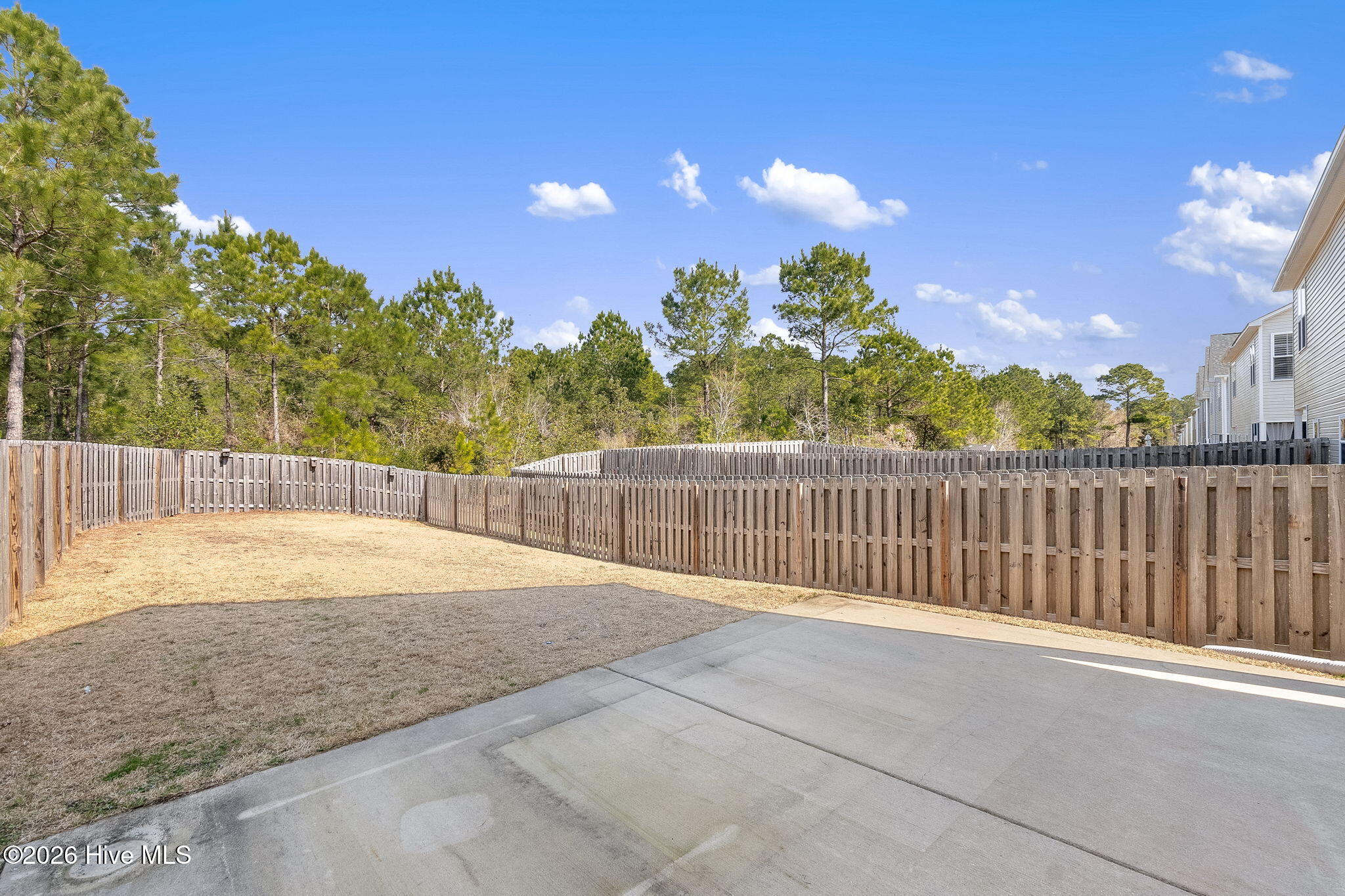 100558093 | Photo 32