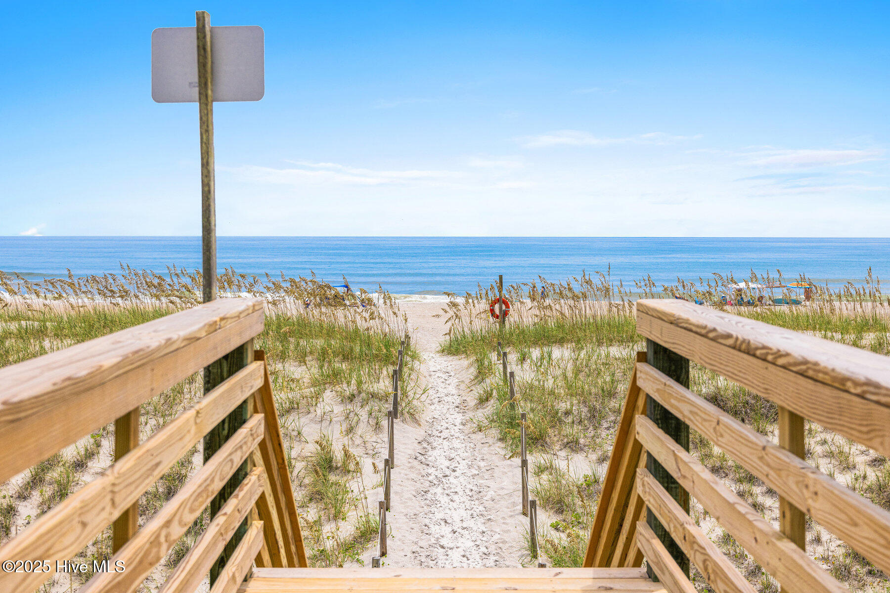 100523627 | Photo 65