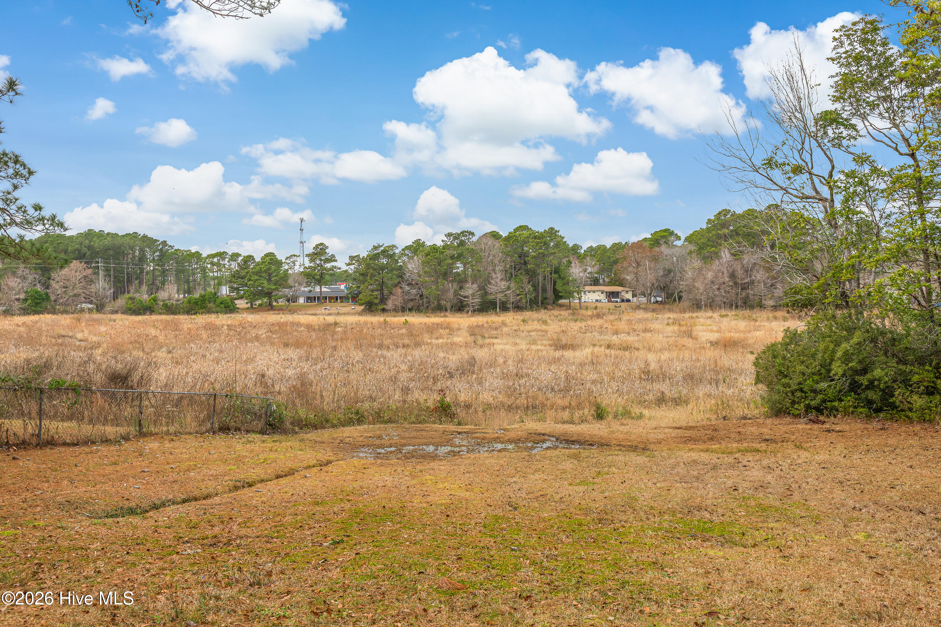 100551120 | Photo 35