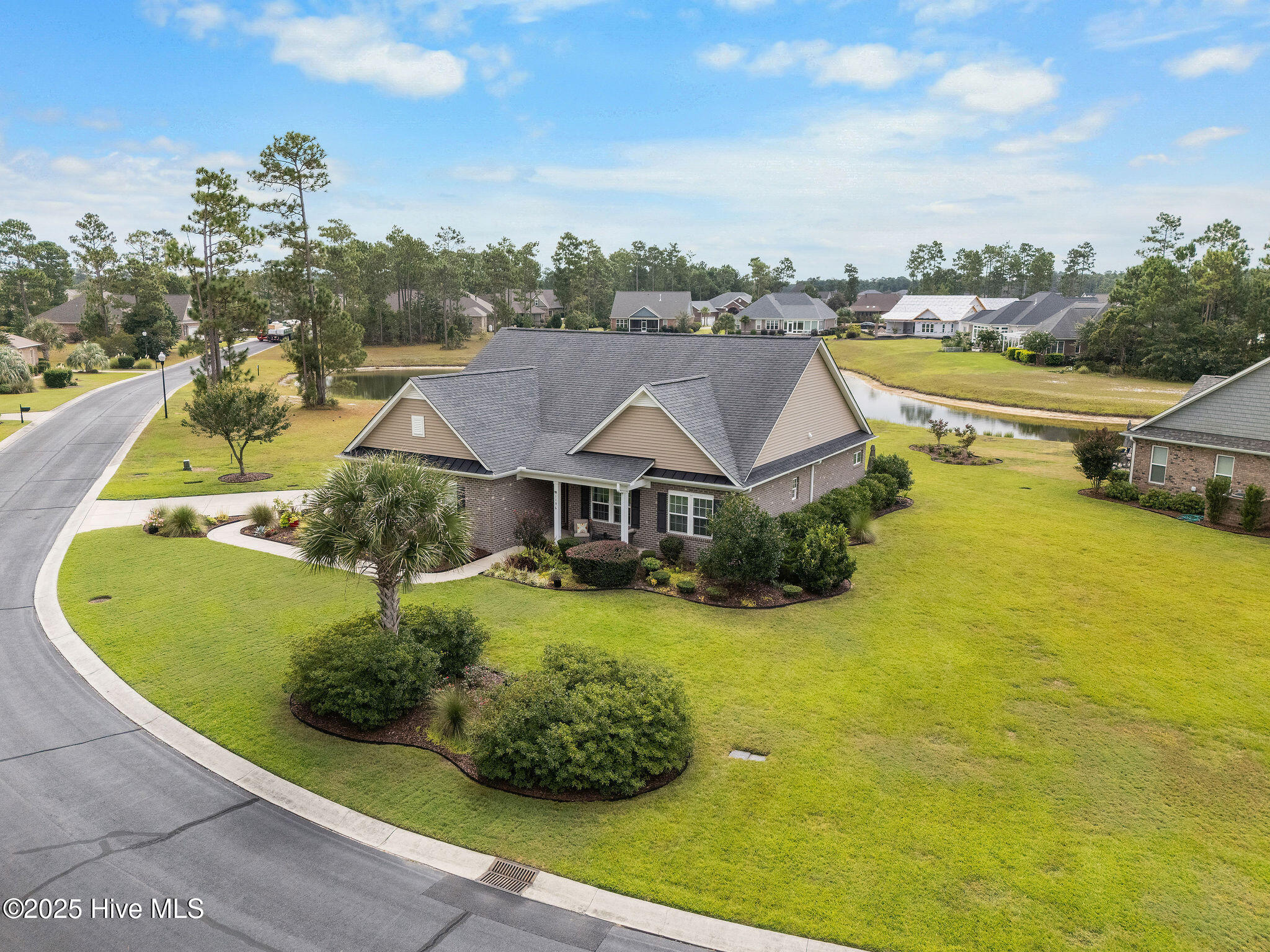 100531104 | Photo 60