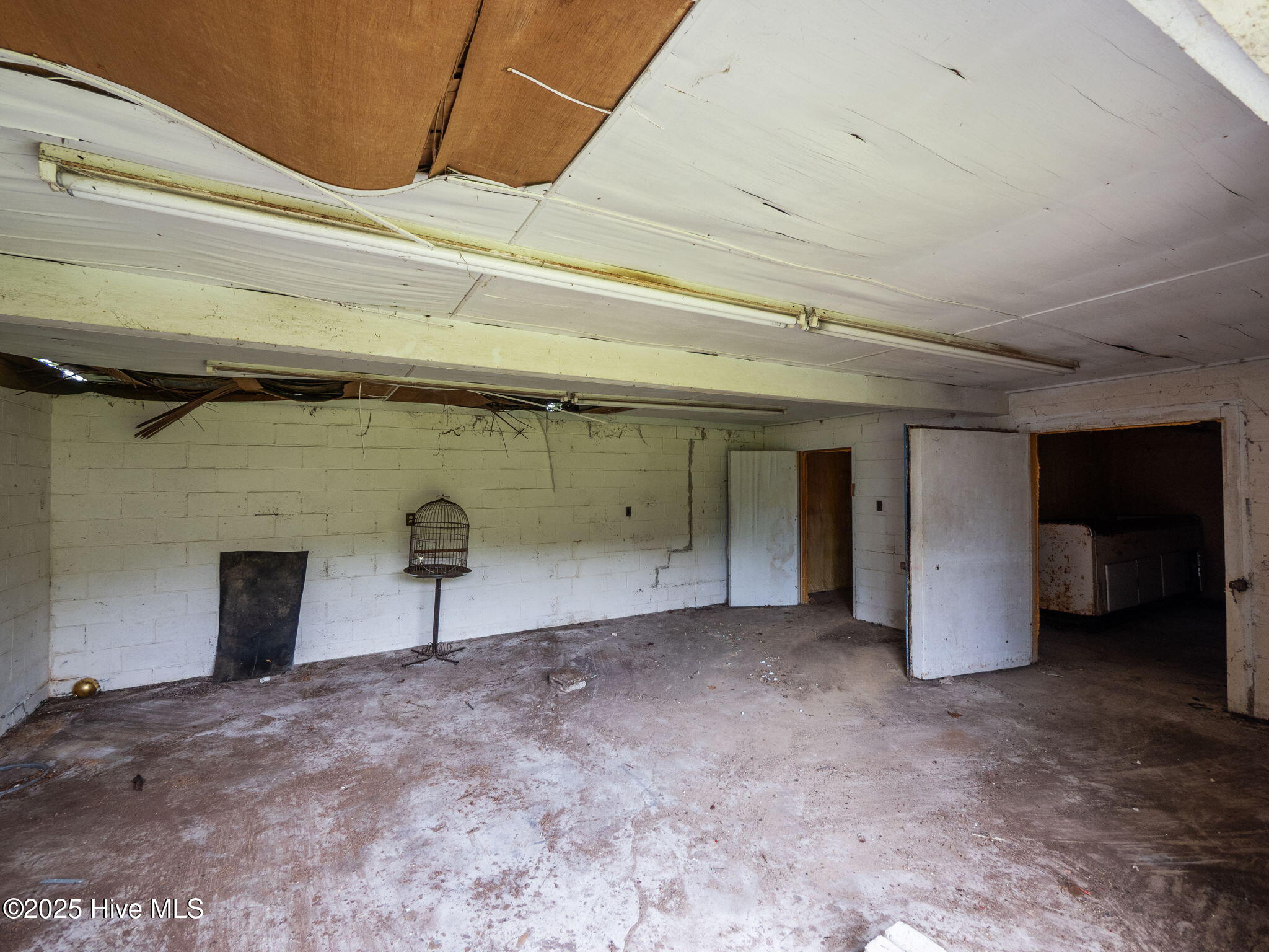 100526593 | Photo 37