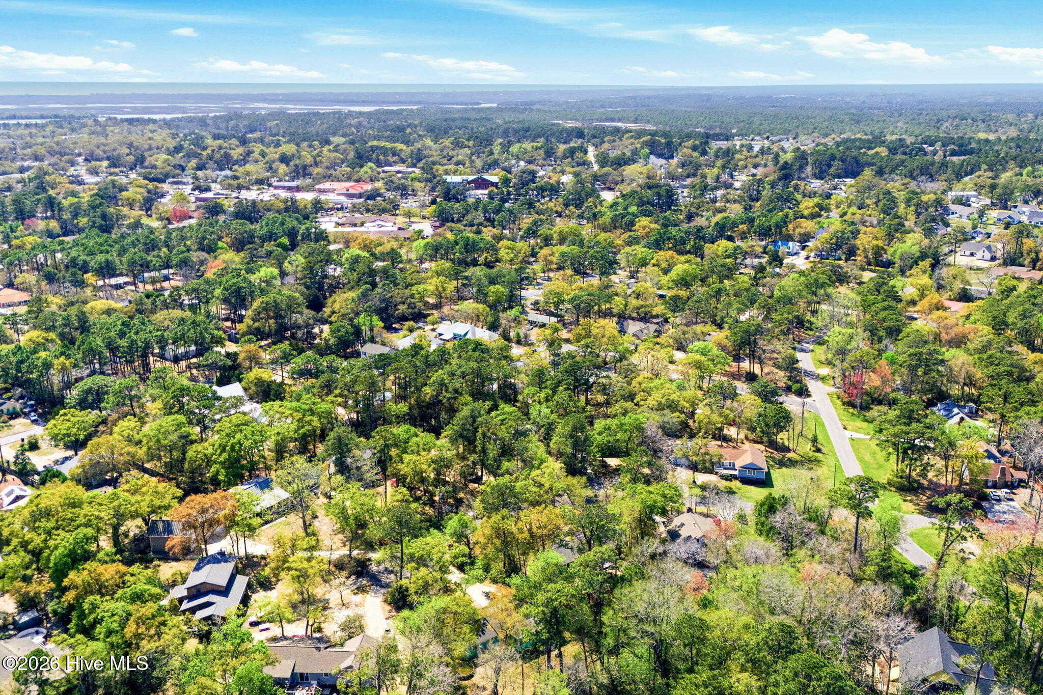 100564618 | Photo 46